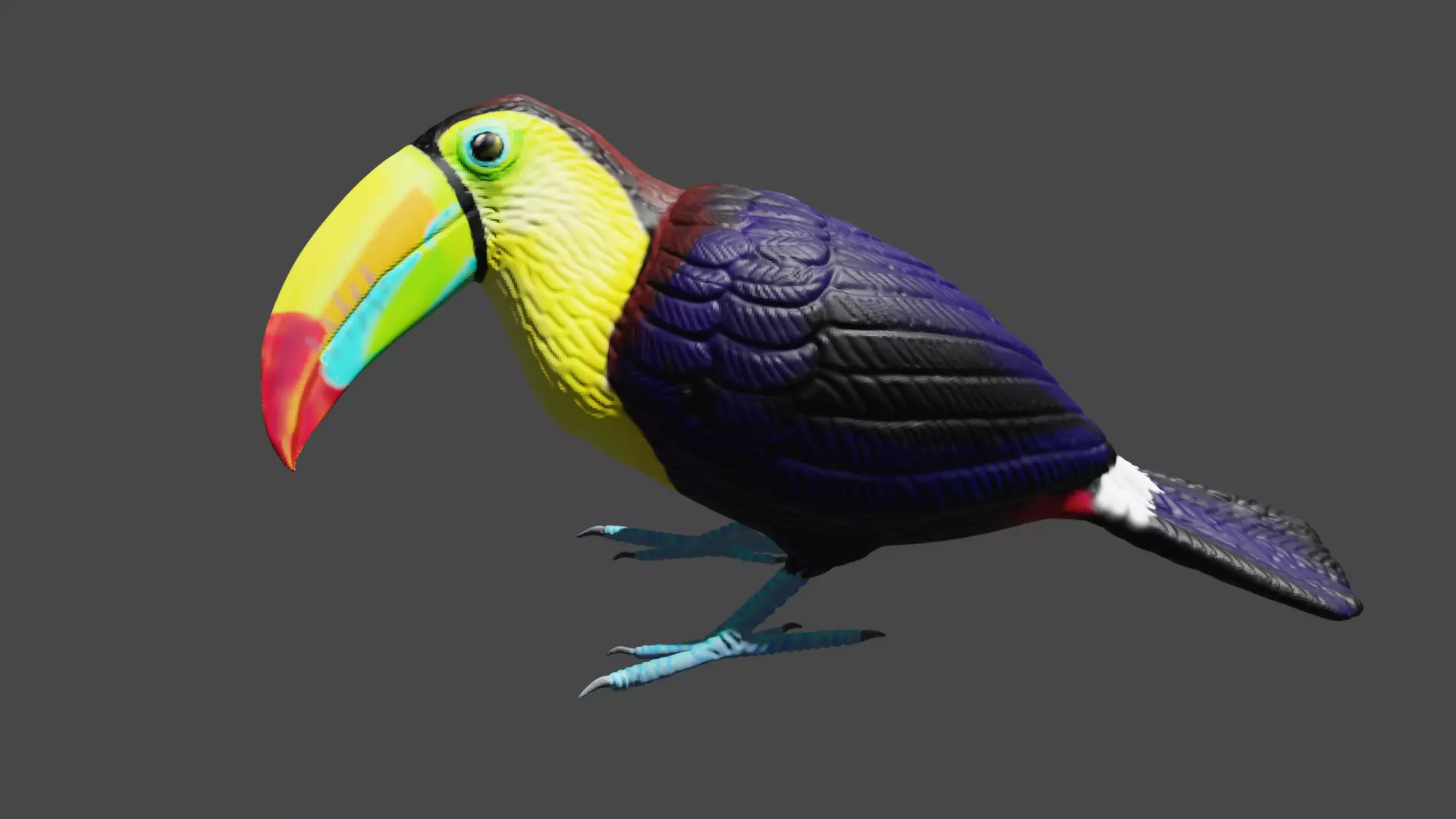 Keel billed Toucan  3D print model_0