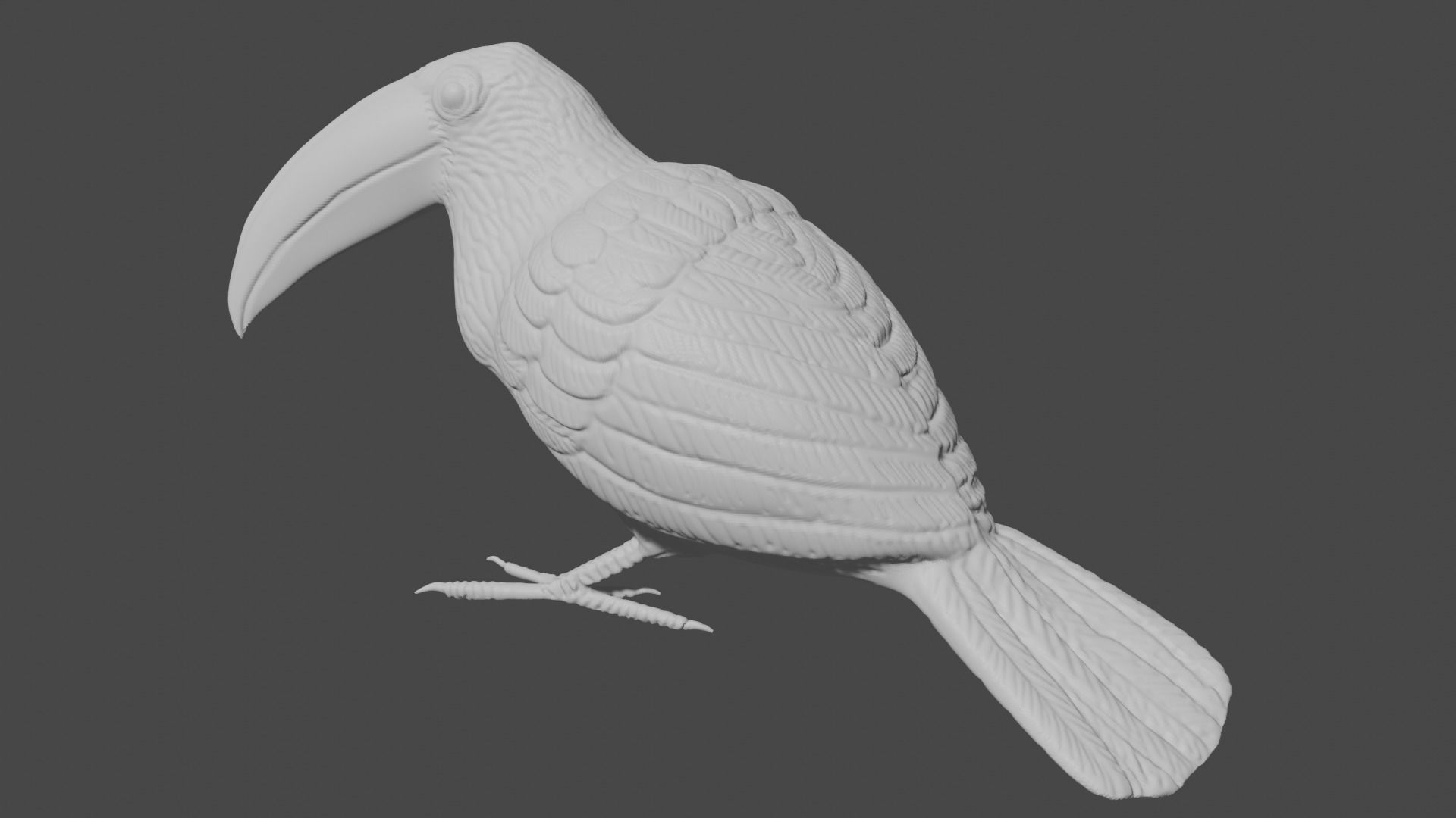 Keel billed Toucan  3D print model_3