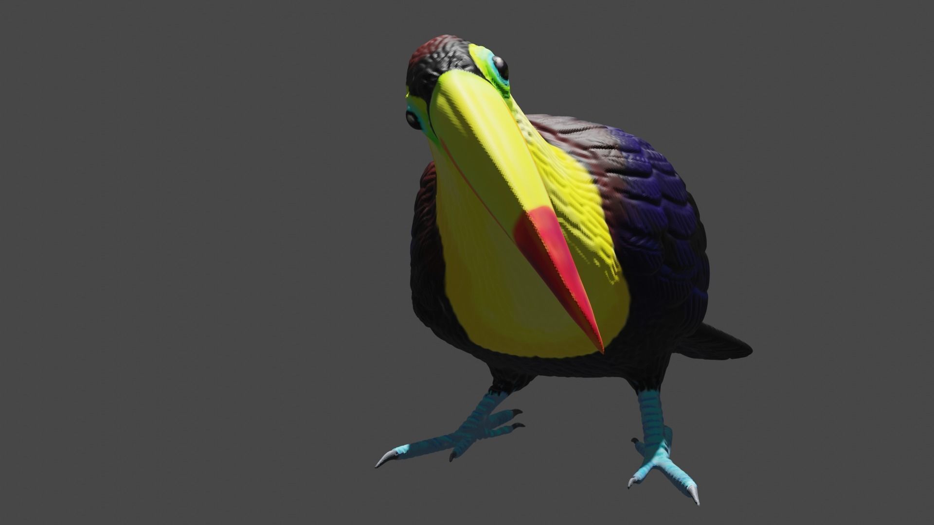 Keel billed Toucan  3D print model_2