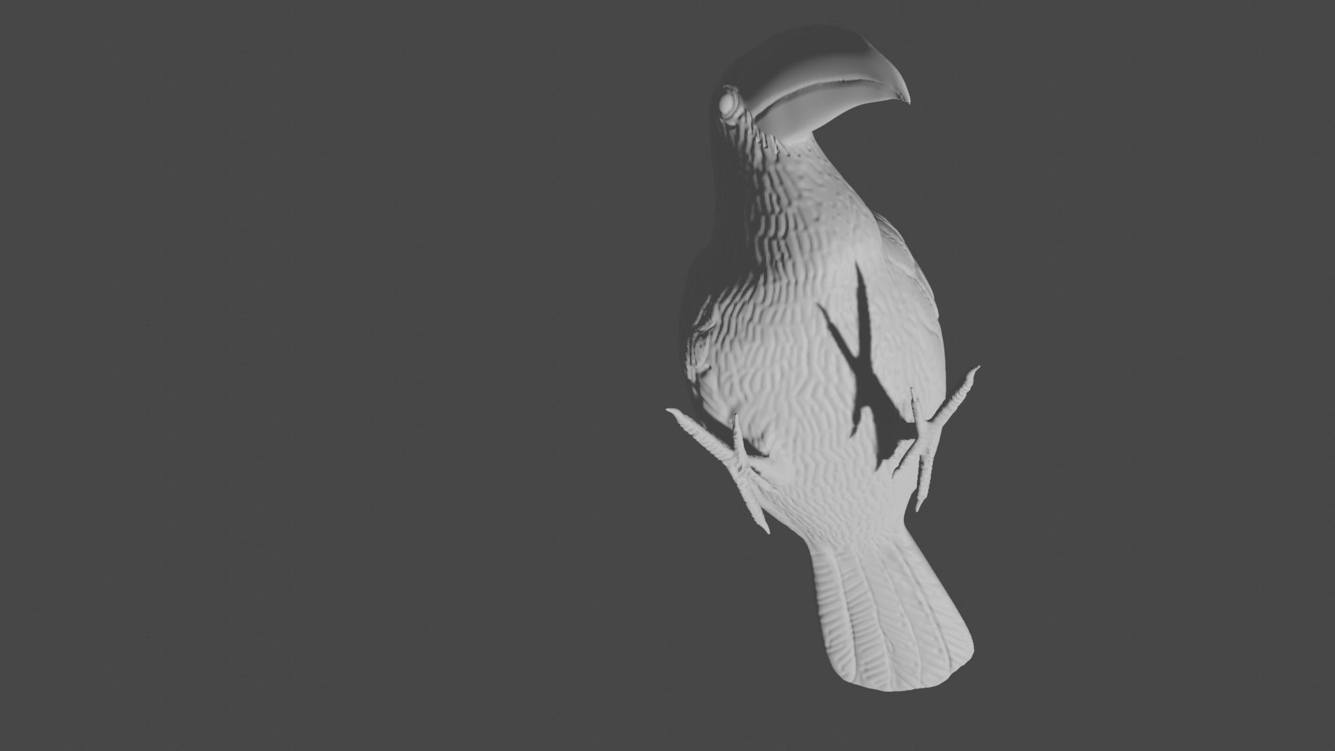 Keel billed Toucan  3D print model_4