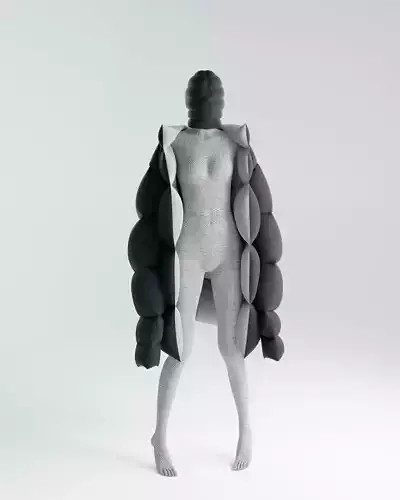 Puffer Jacket 3D model