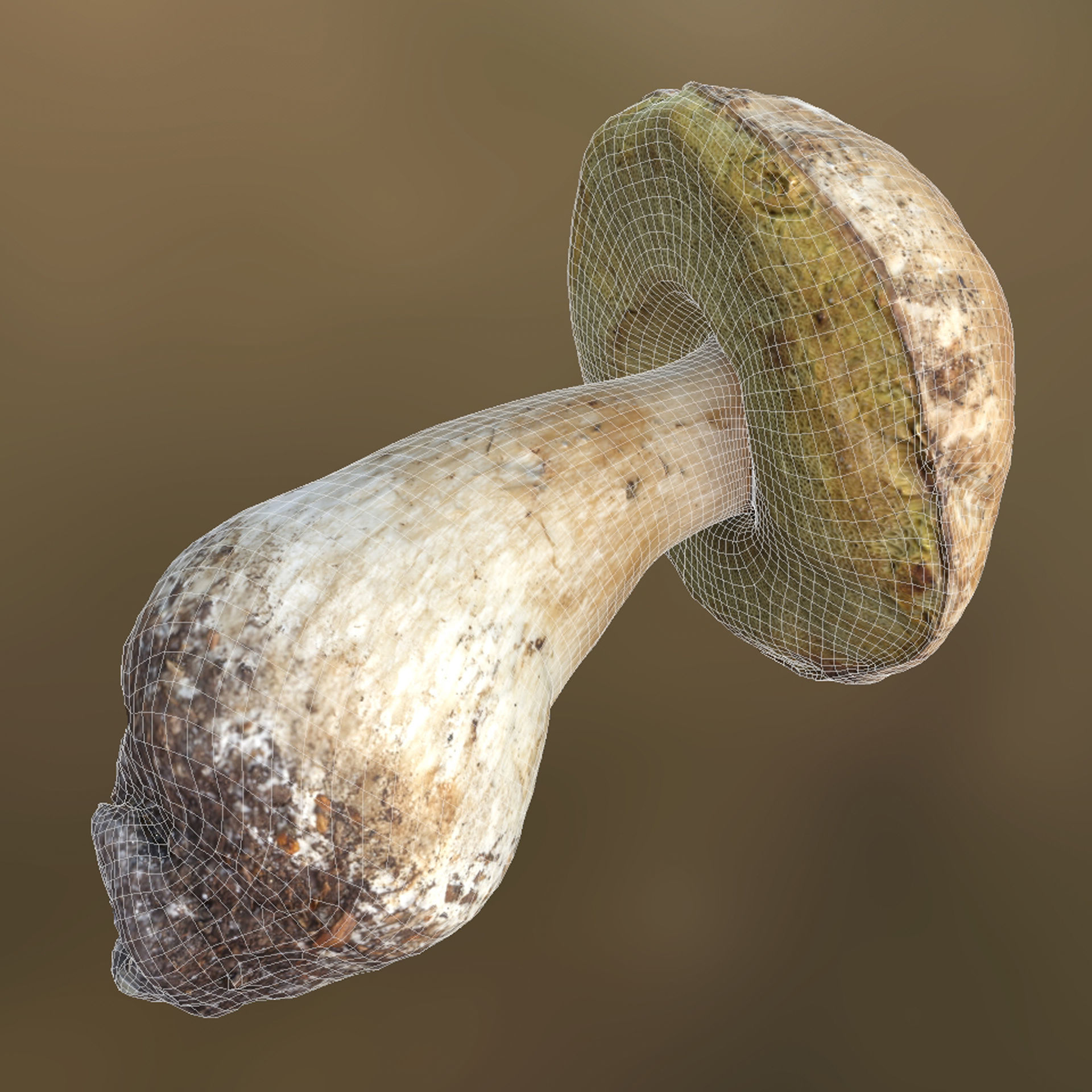 Boletus Edulis or Porcino Low-poly 3D model_7