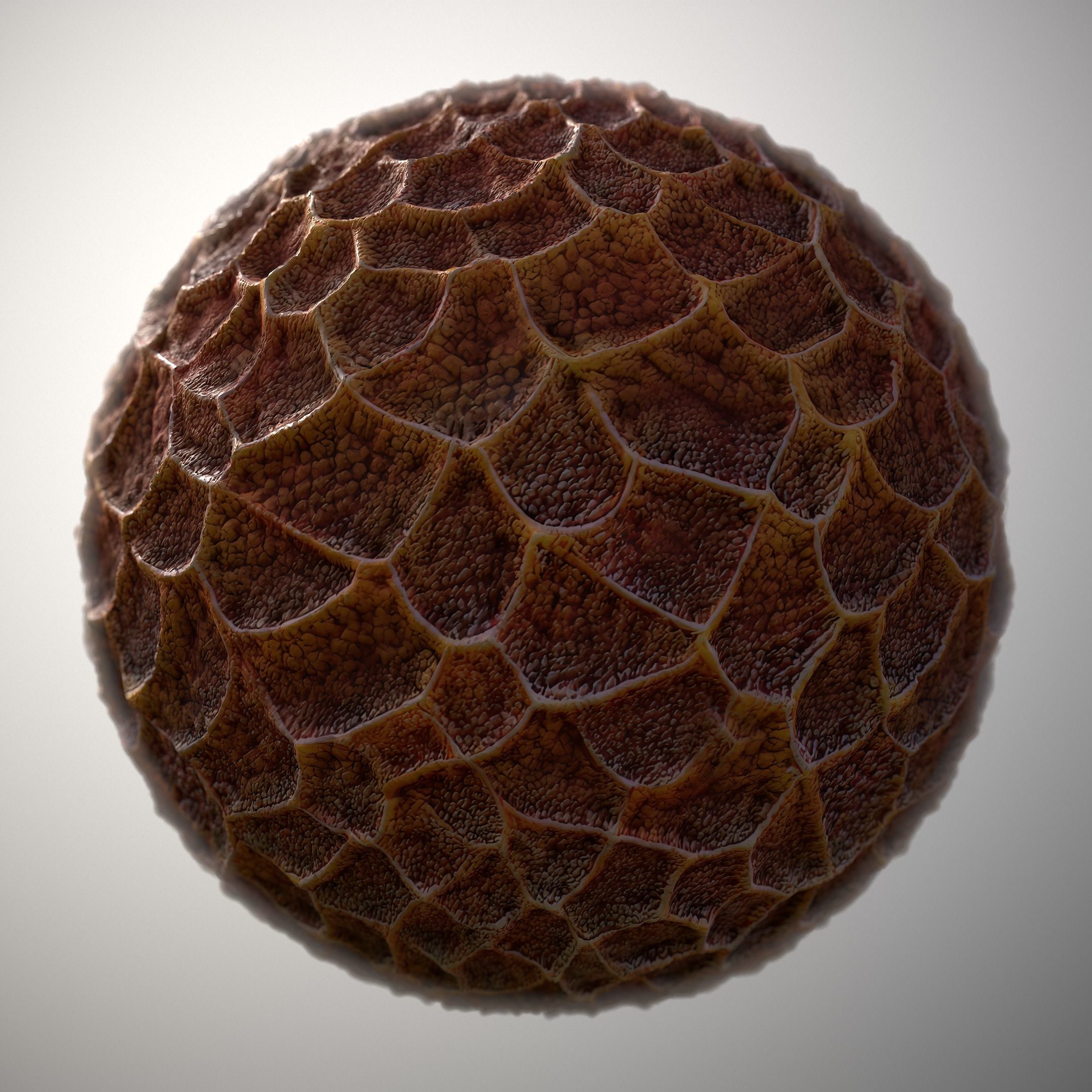 Material Skin Alien 11 Seamless PBR Texture Texture | CGTrader