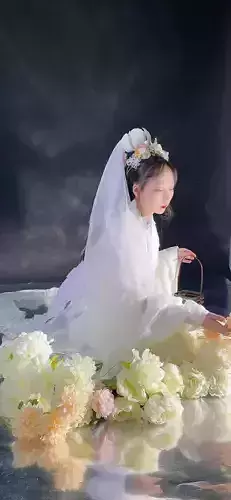 Chinese Ancient hairpin