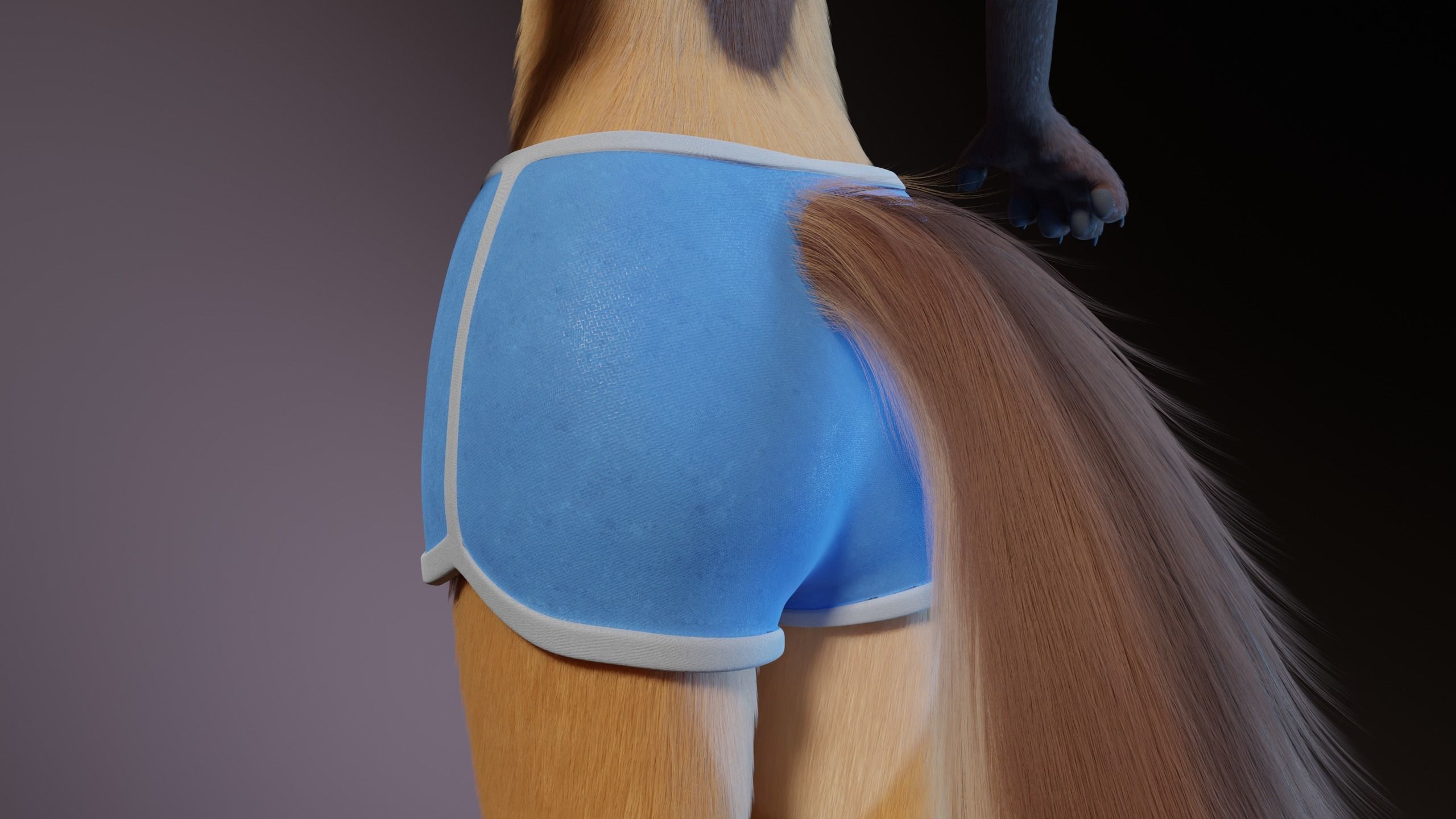 Catalina Anthro Fox 3D model_26