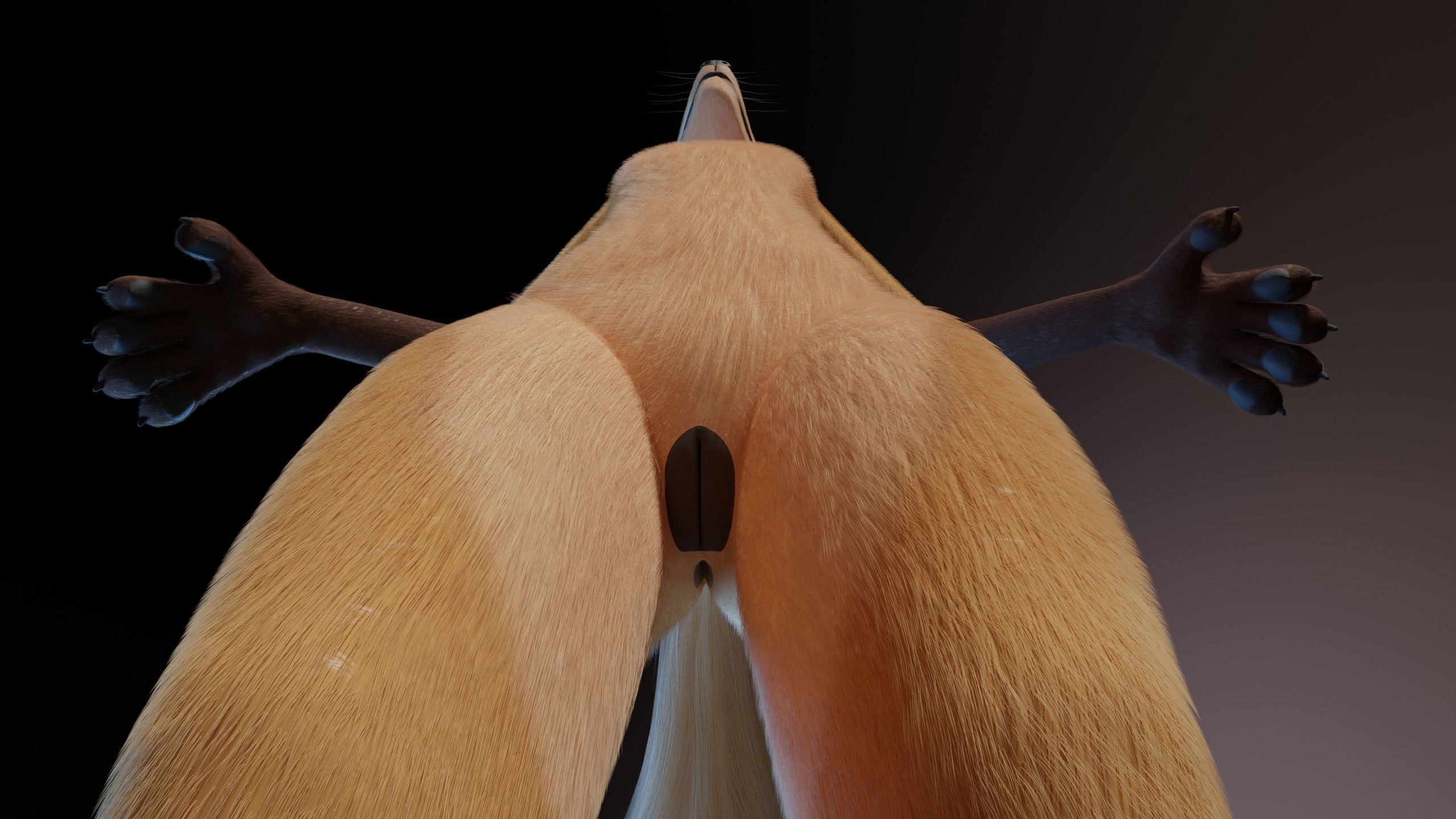 Catalina Anthro Fox 3D model_15