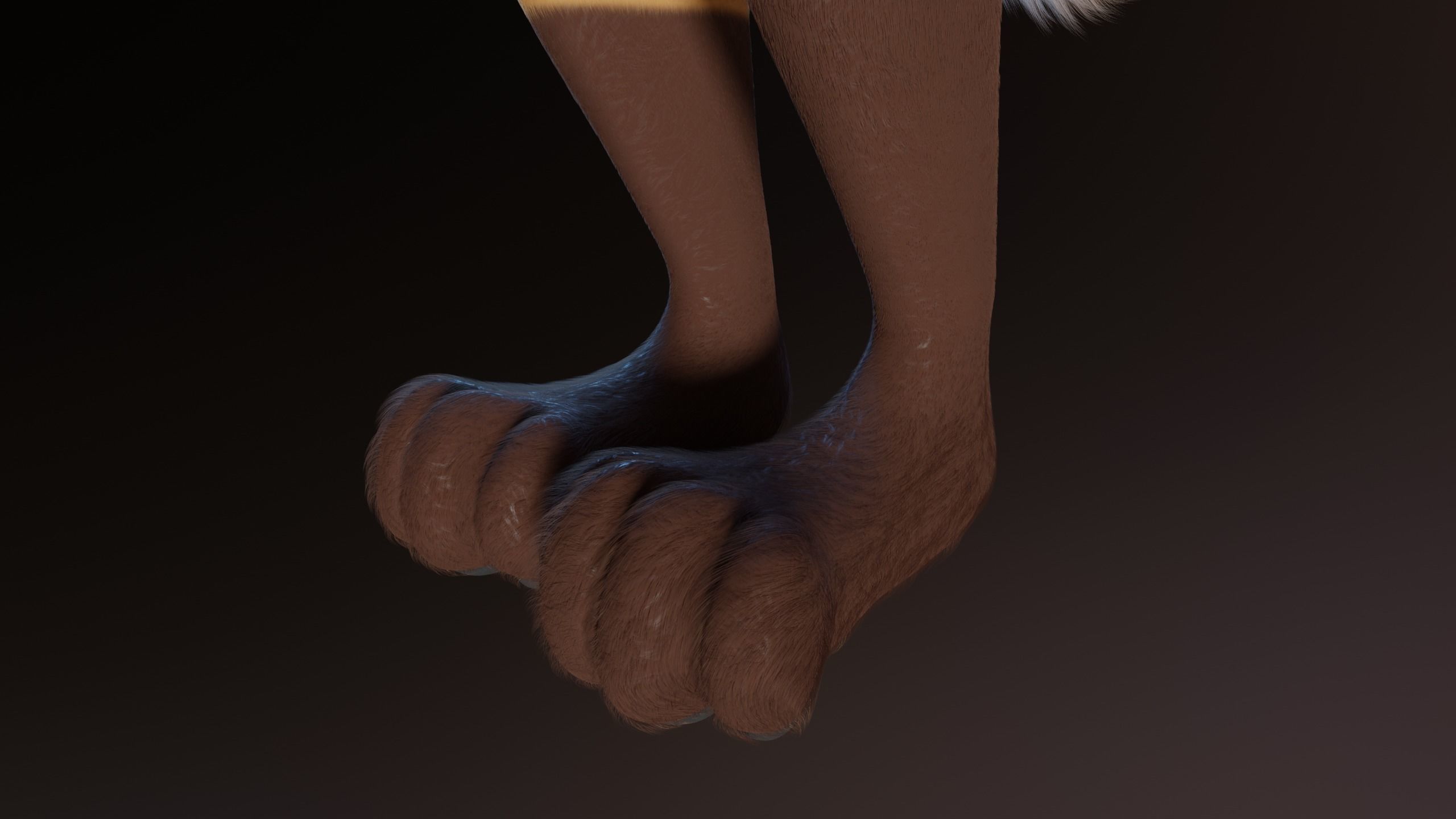 Catalina Anthro Fox 3D model_13