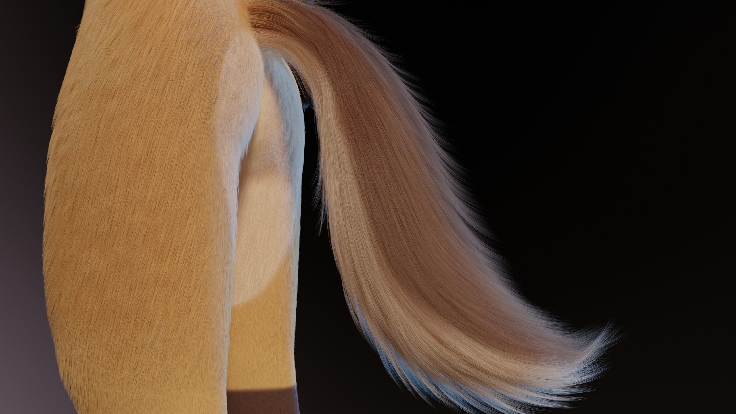 Catalina Anthro Fox 3D model_10