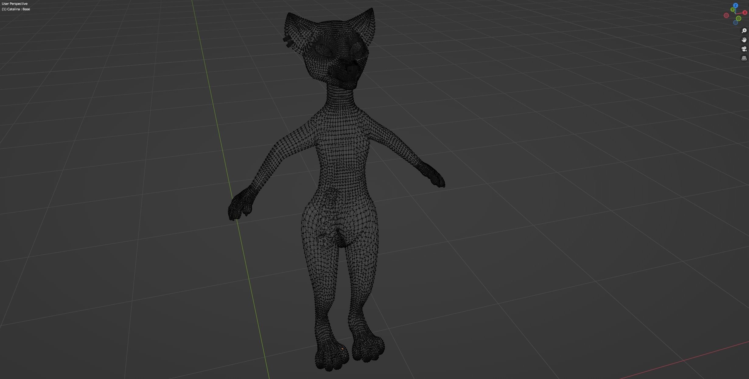Catalina Anthro Fox 3D model_37
