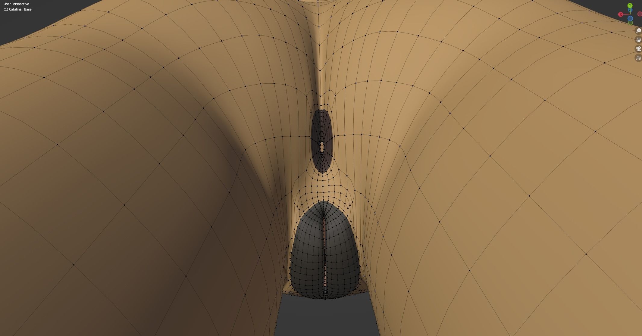 Catalina Anthro Fox 3D model_62