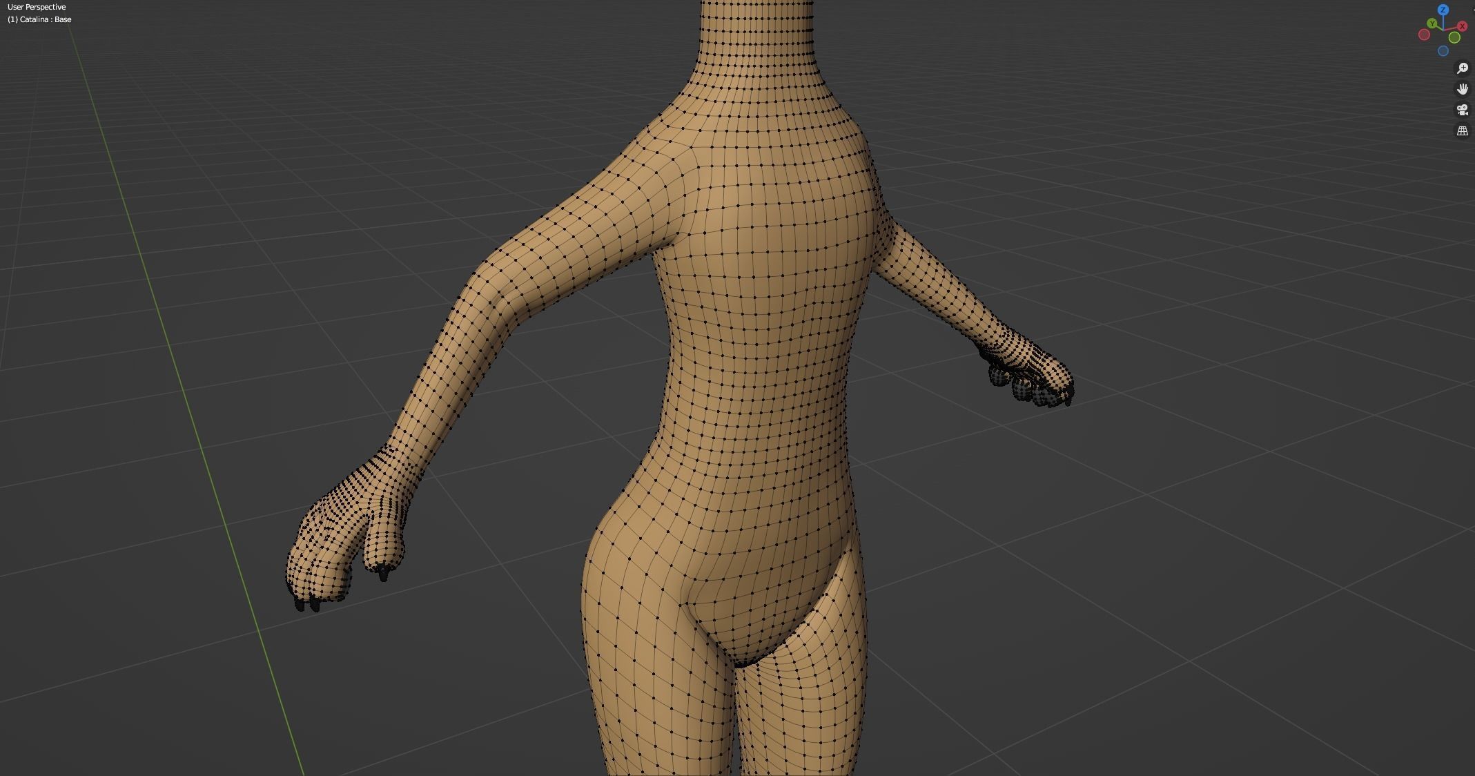 Catalina Anthro Fox 3D model_60