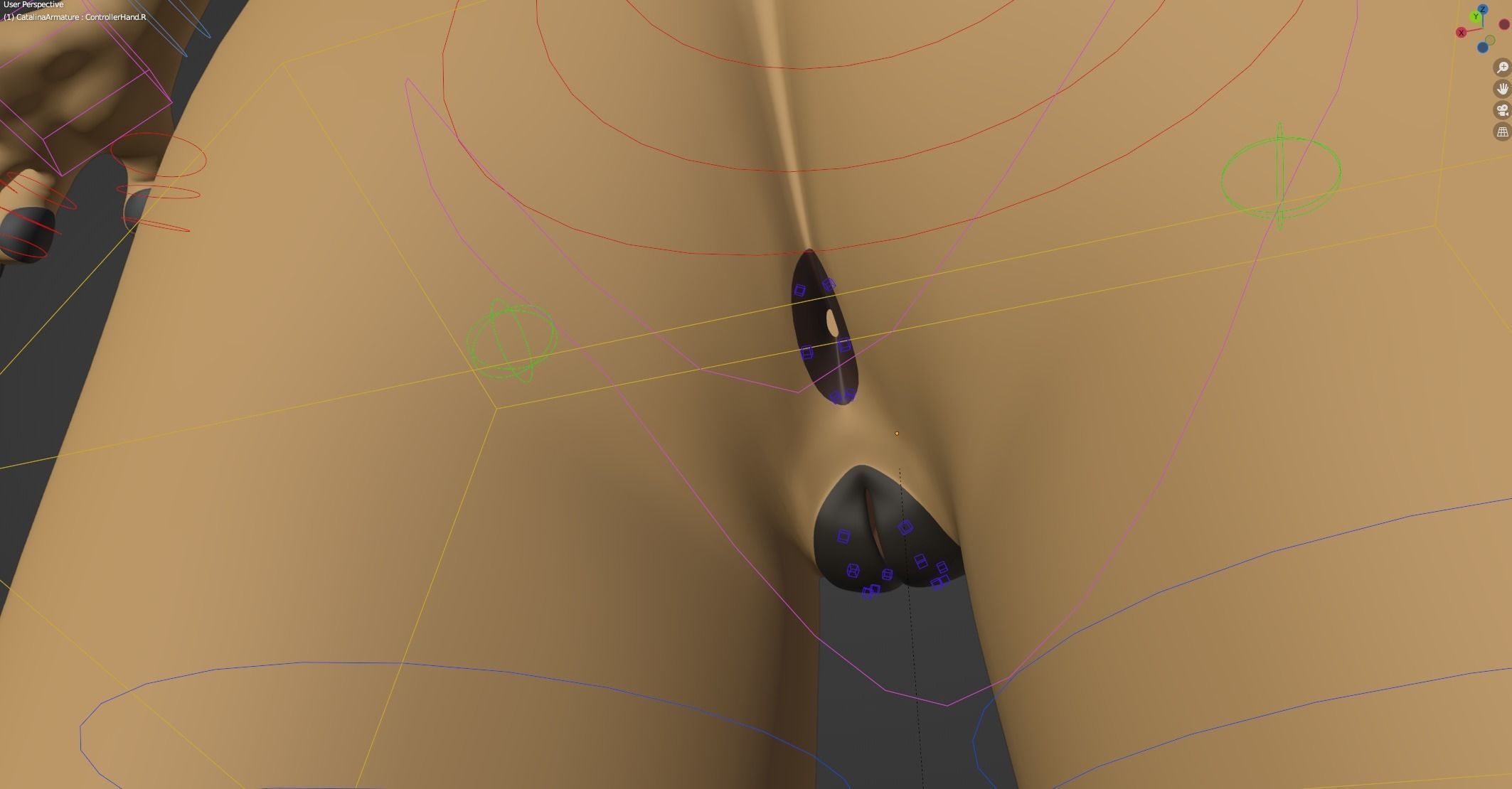 Catalina Anthro Fox 3D model_41