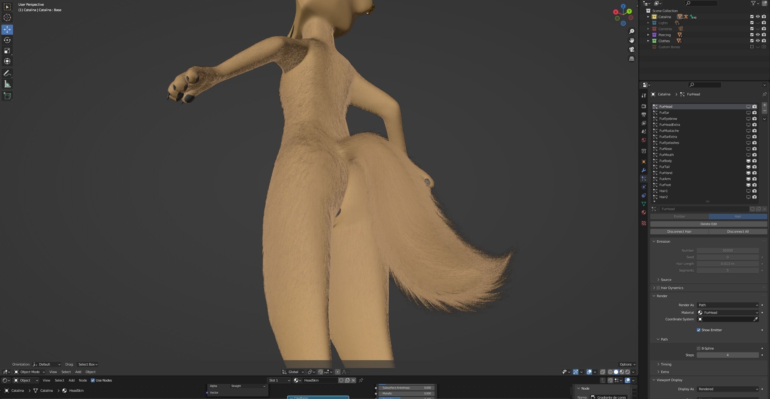 Catalina Anthro Fox 3D model_93
