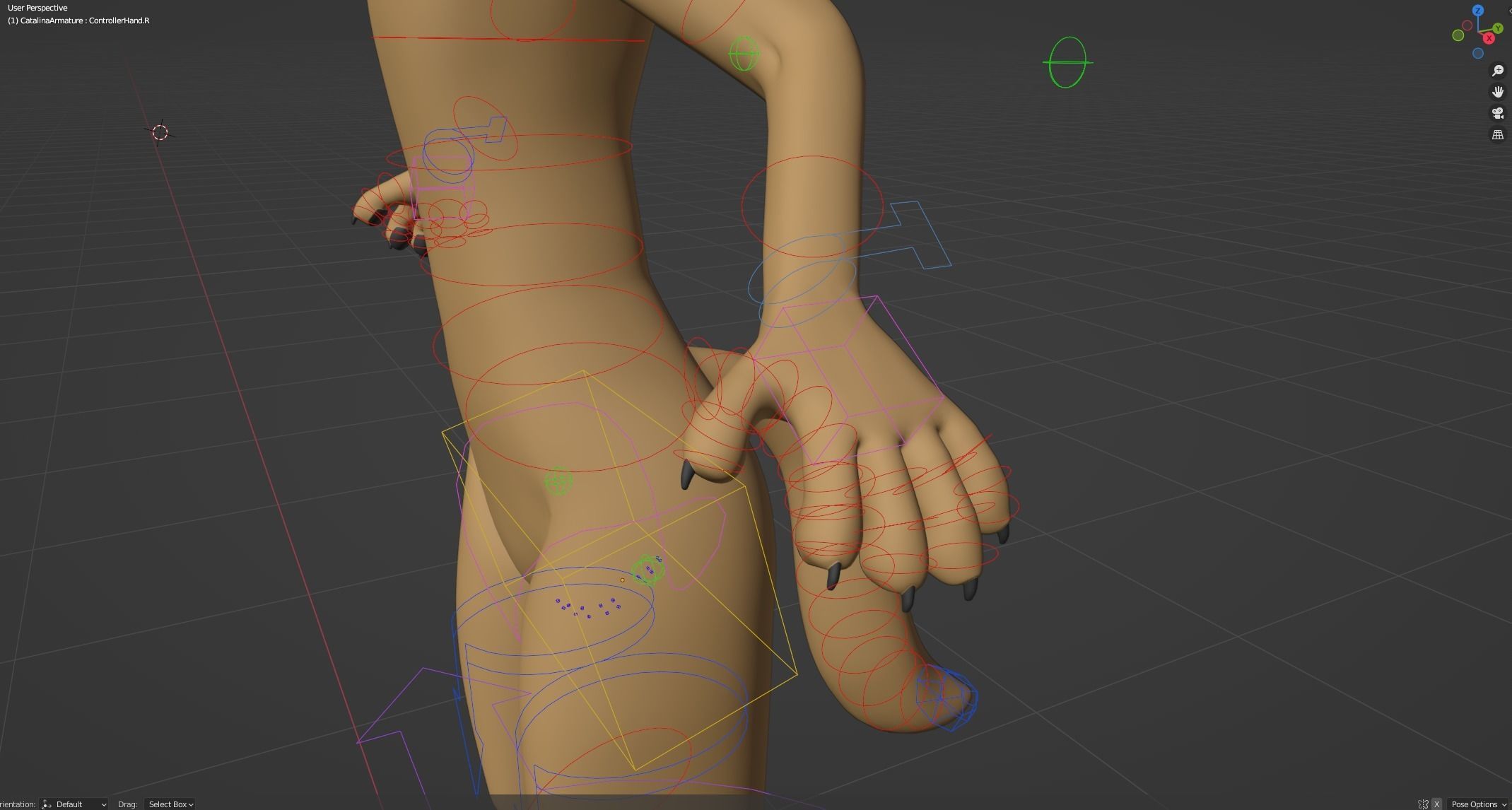 Catalina Anthro Fox 3D model_43