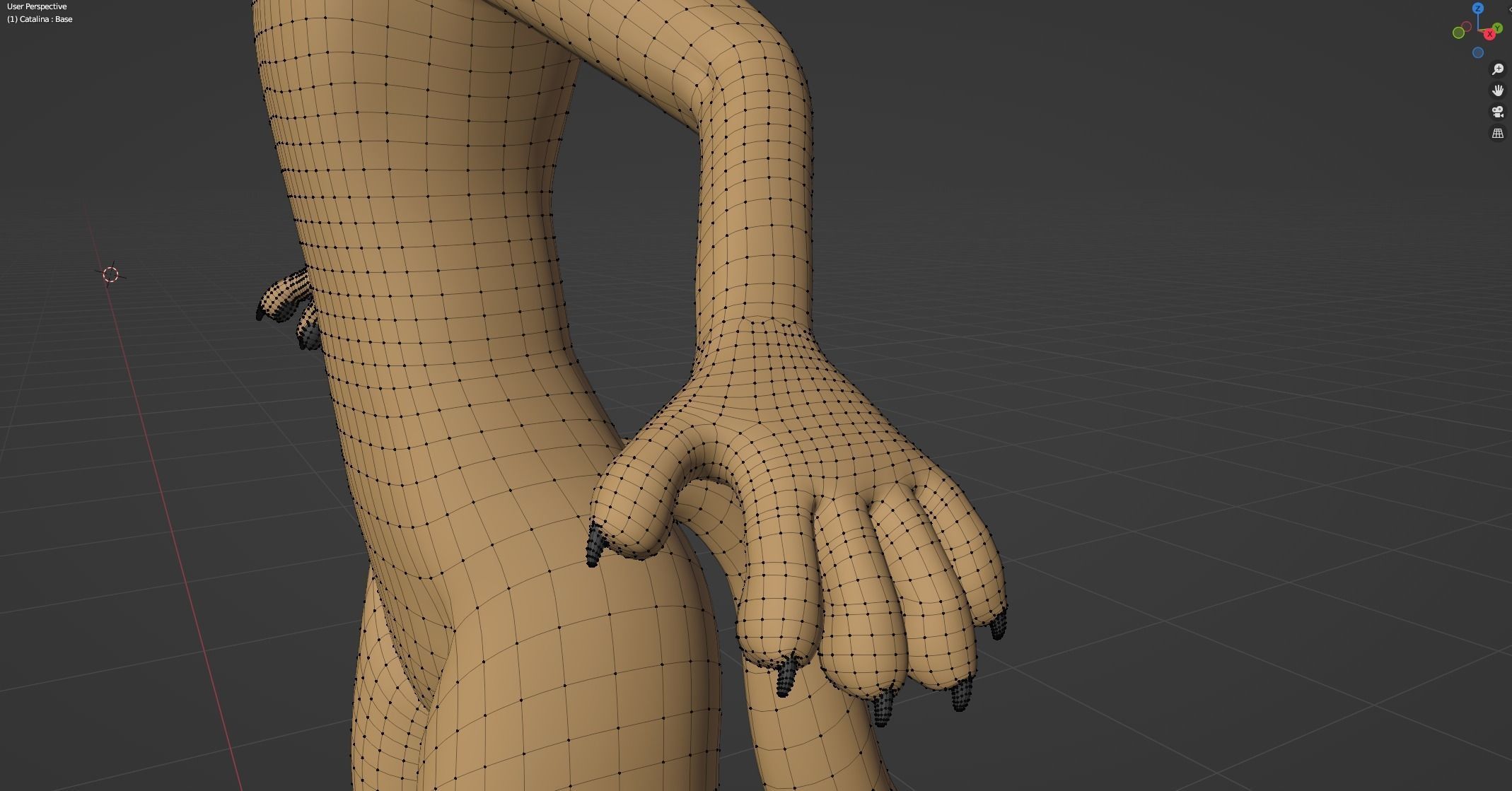 Catalina Anthro Fox 3D model_65