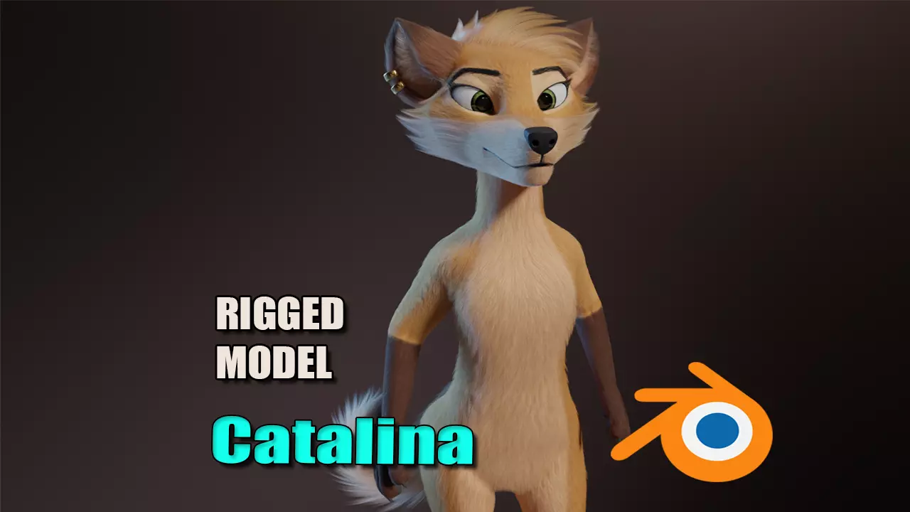 Catalina Anthro Fox 3D model_0