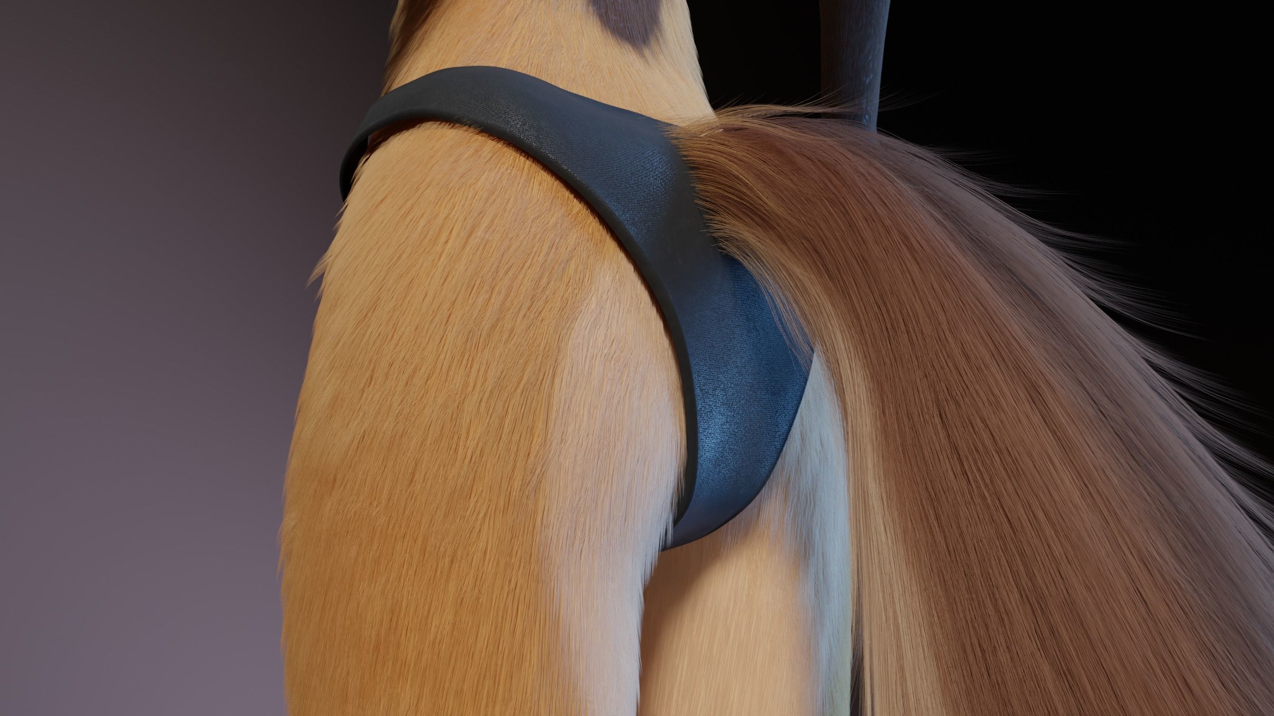 Catalina Anthro Fox 3D model_24