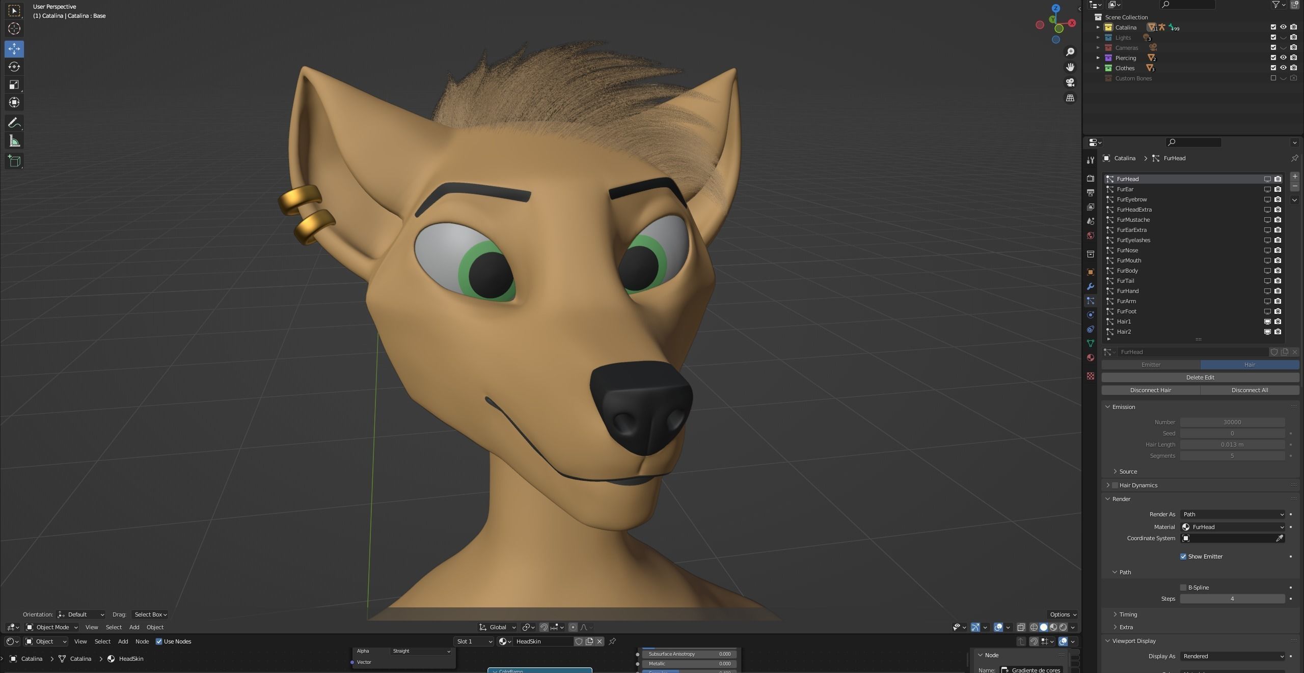 Catalina Anthro Fox 3D model_94
