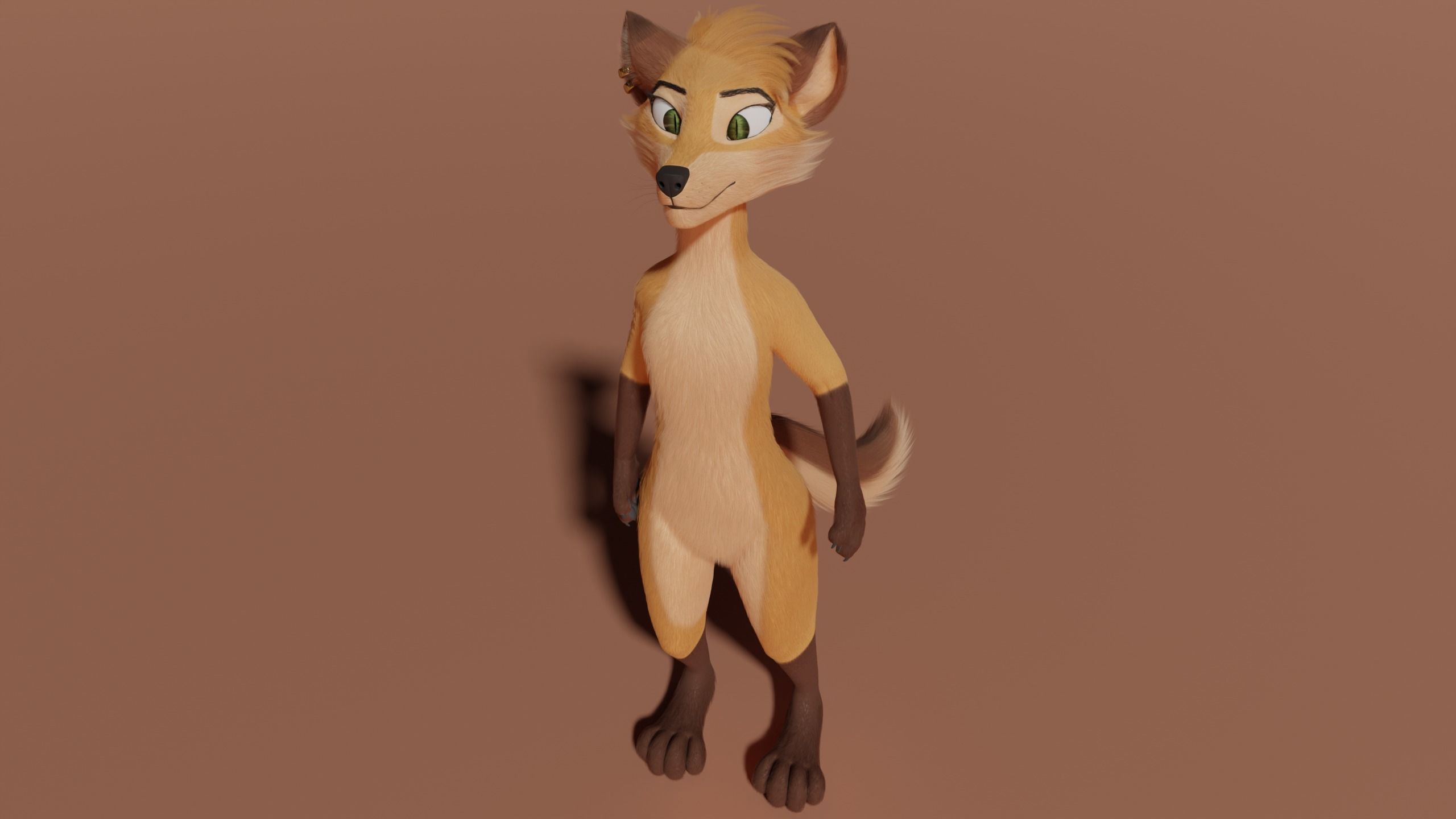 Catalina Anthro Fox 3D model_36