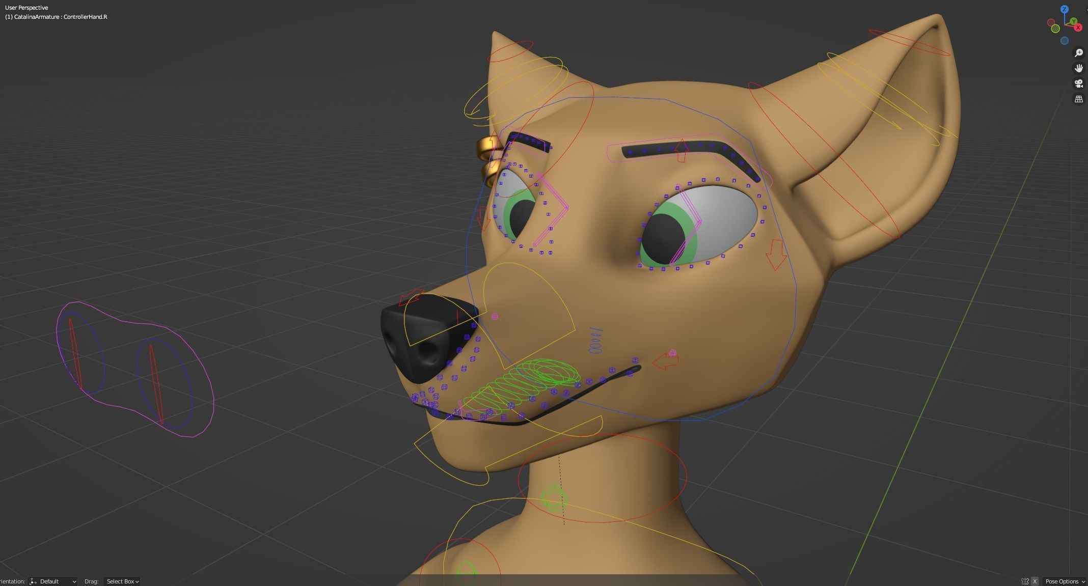 Catalina Anthro Fox 3D model_45