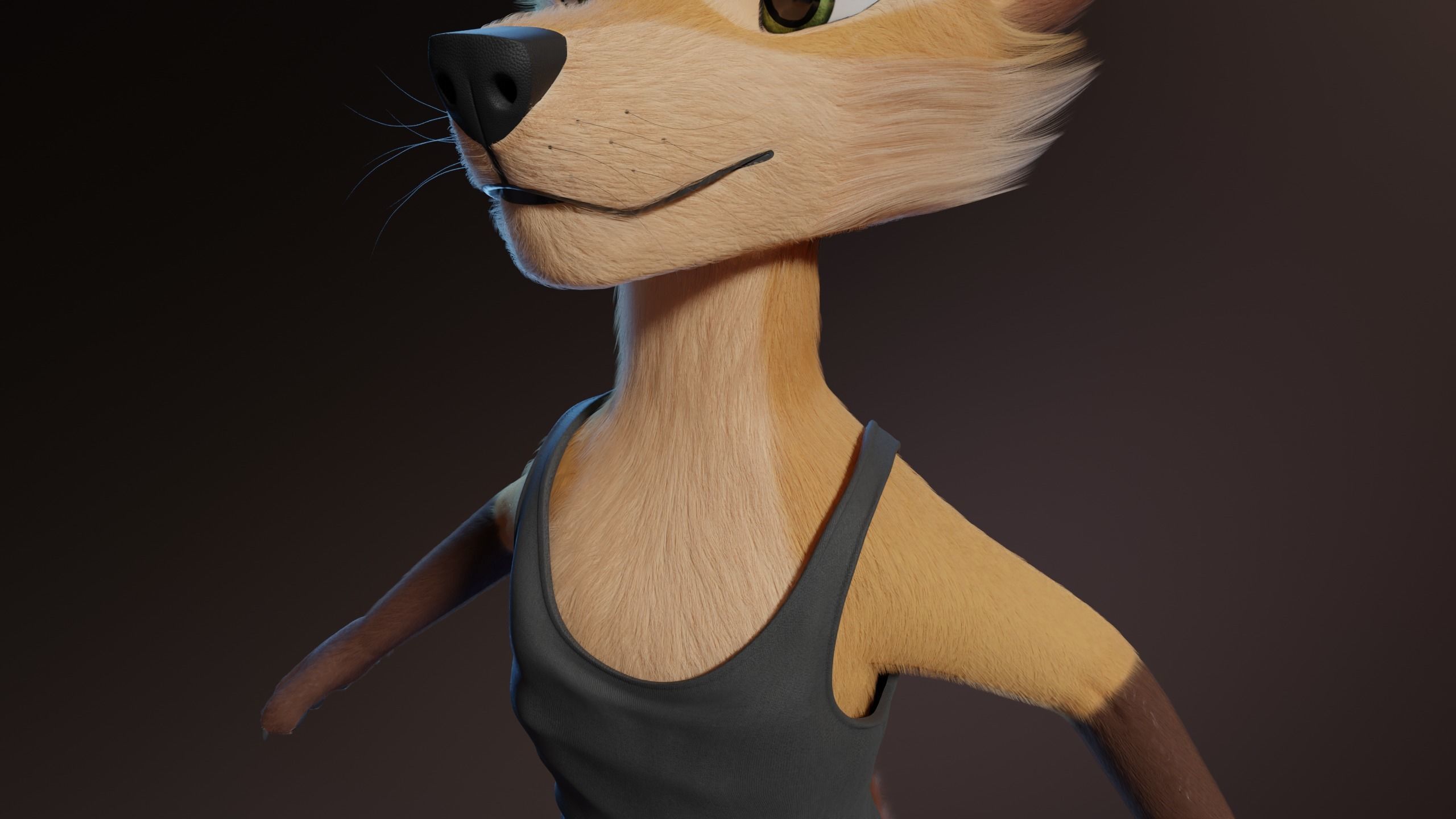 Catalina Anthro Fox 3D model_29