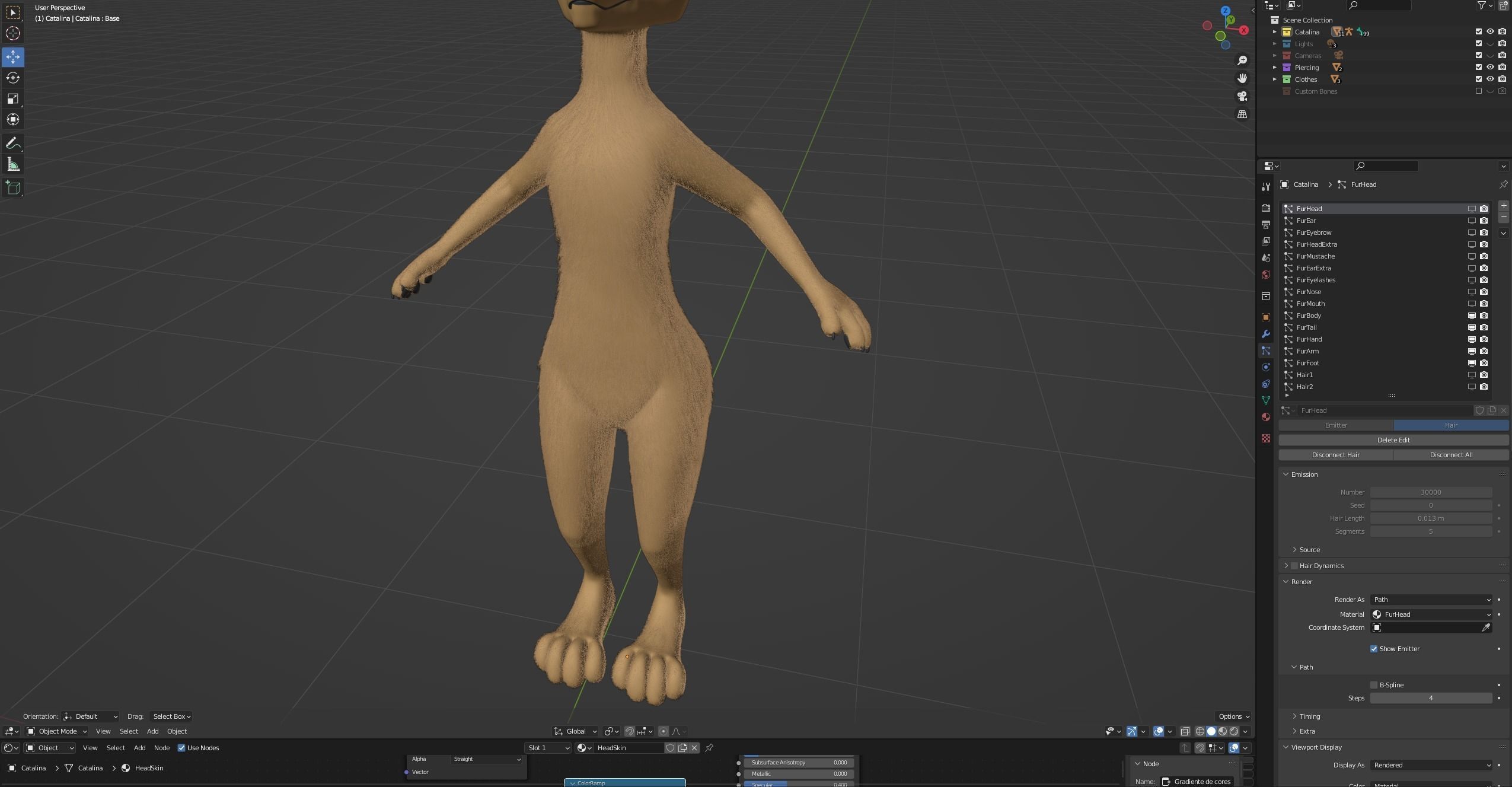 Catalina Anthro Fox 3D model_92