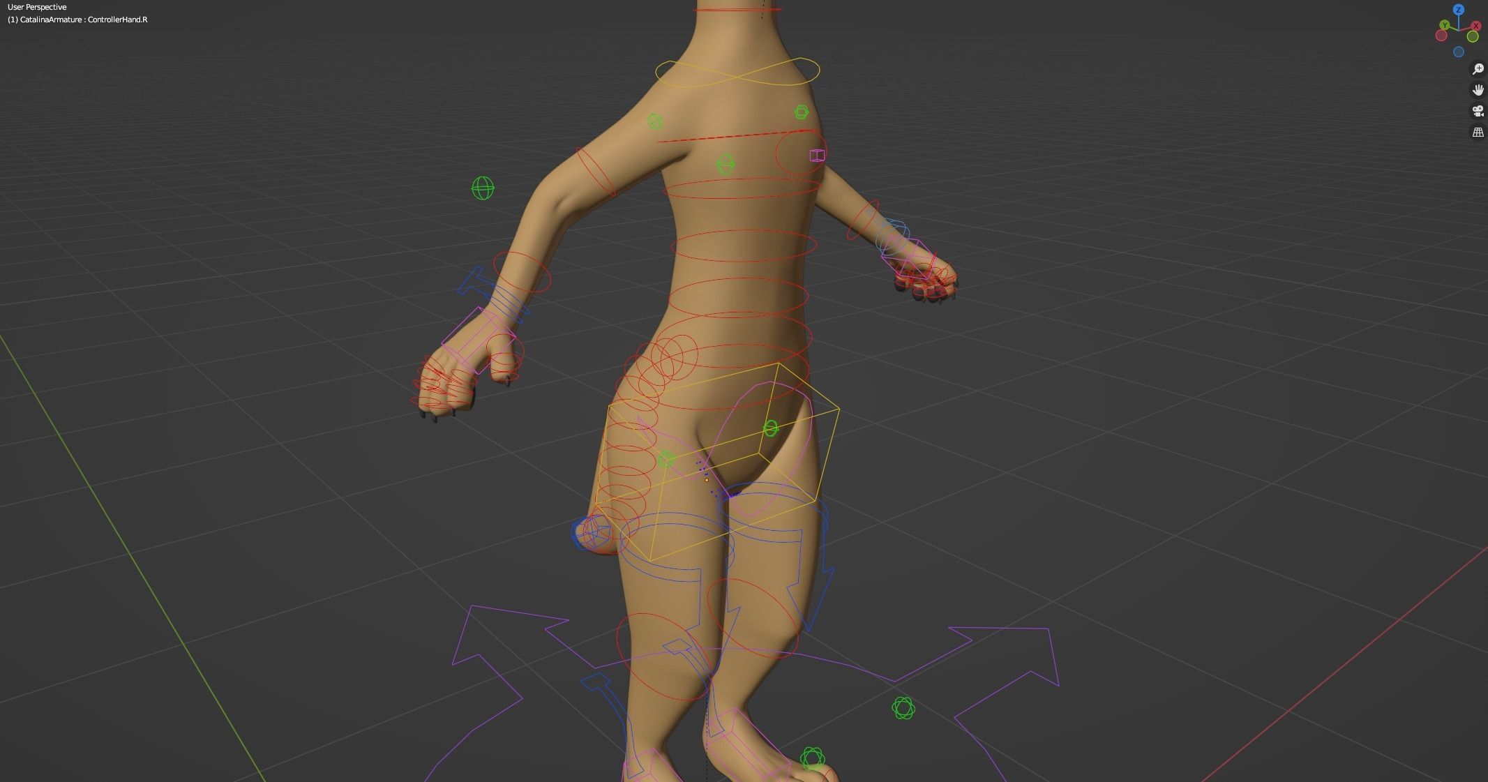 Catalina Anthro Fox 3D model_39