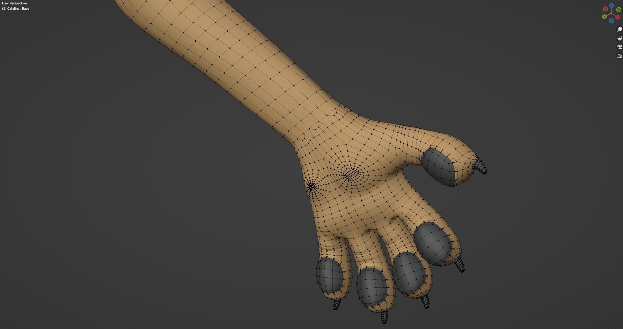 Catalina Anthro Fox 3D model_66