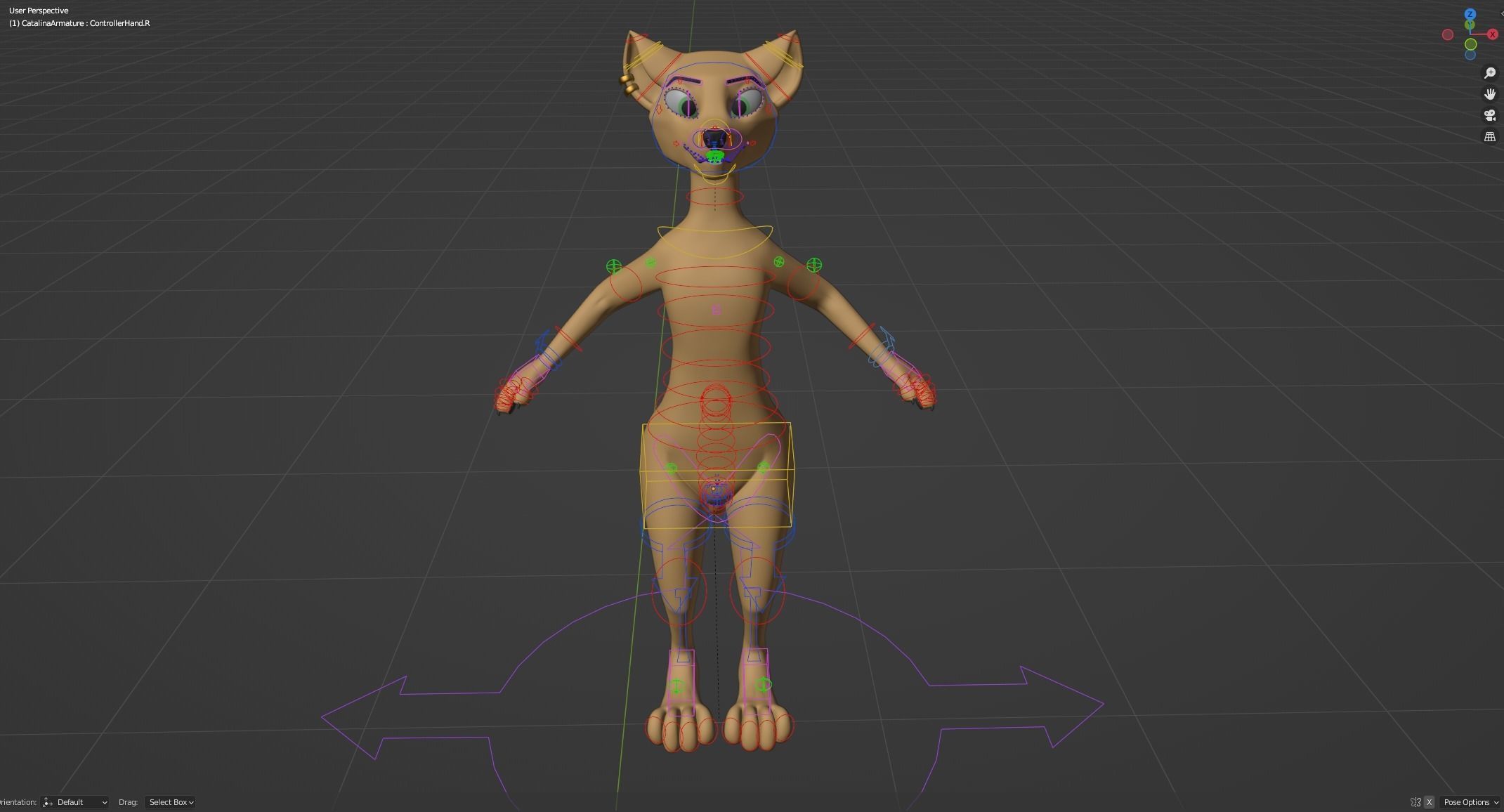 Catalina Anthro Fox 3D model_38