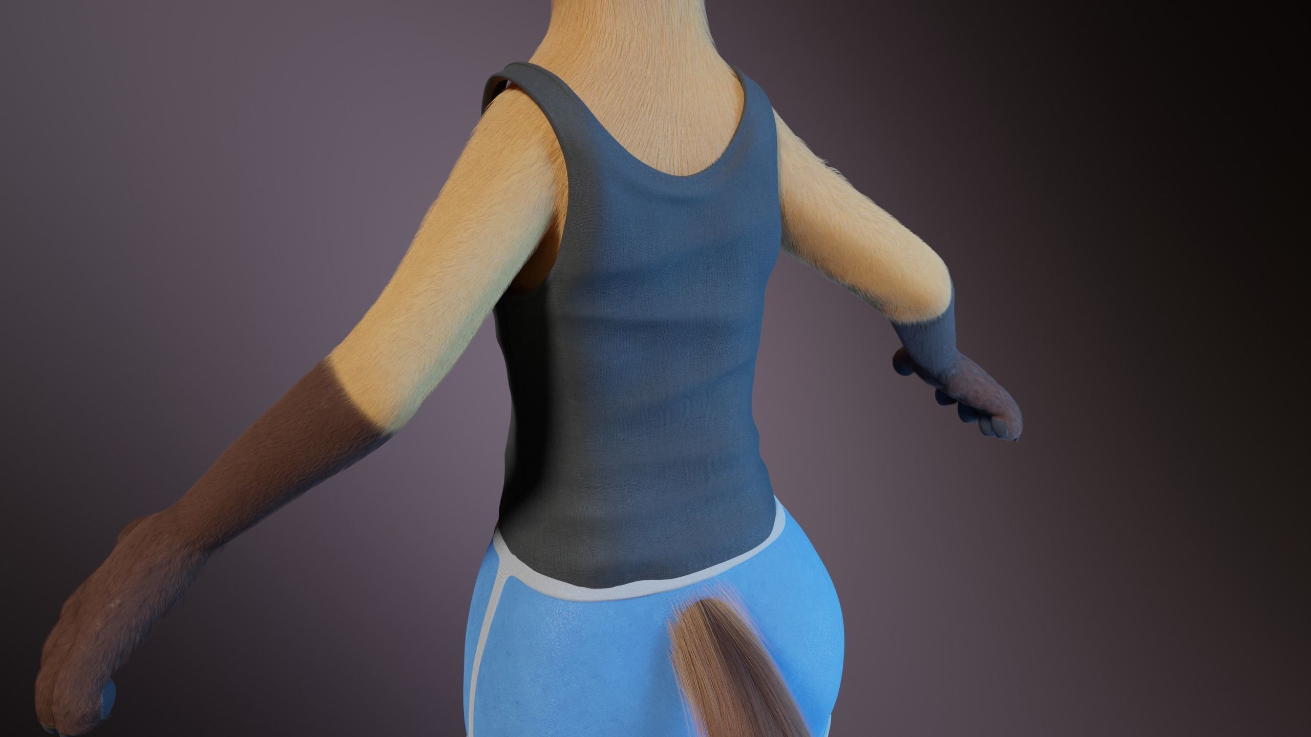 Catalina Anthro Fox 3D model_28
