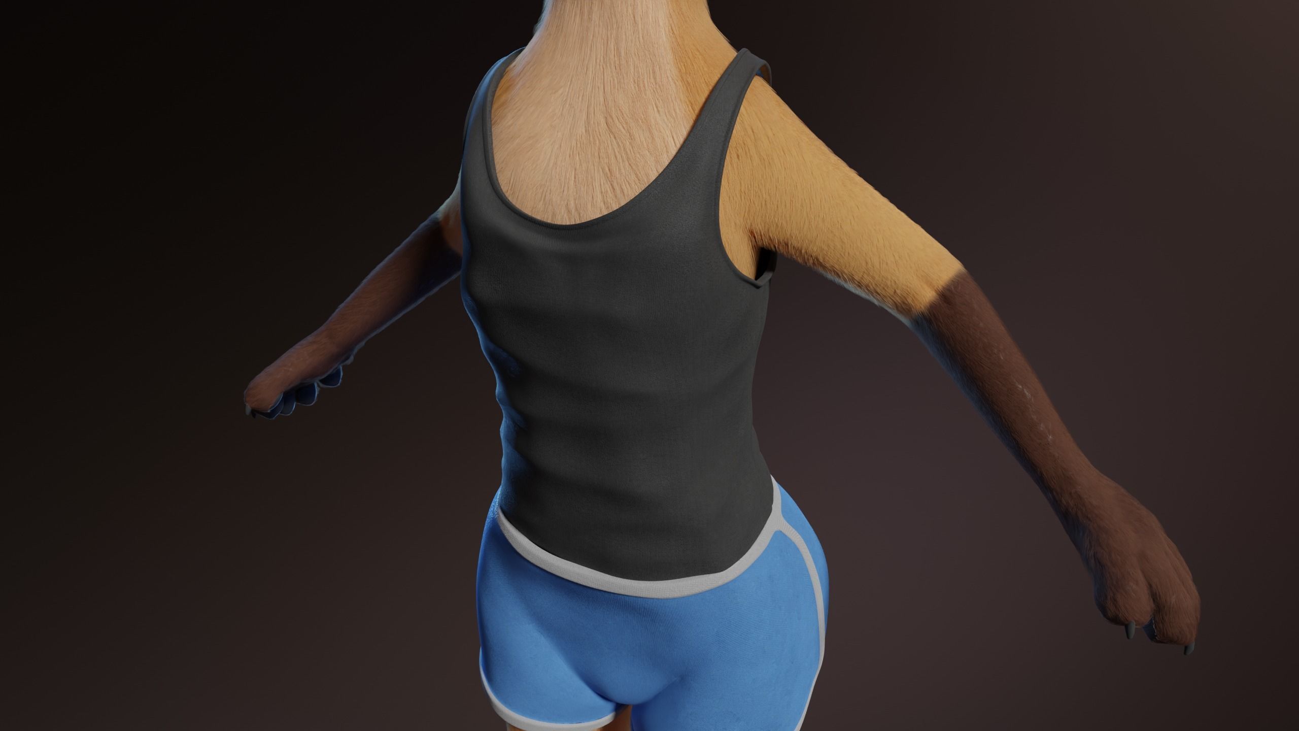 Catalina Anthro Fox 3D model_27