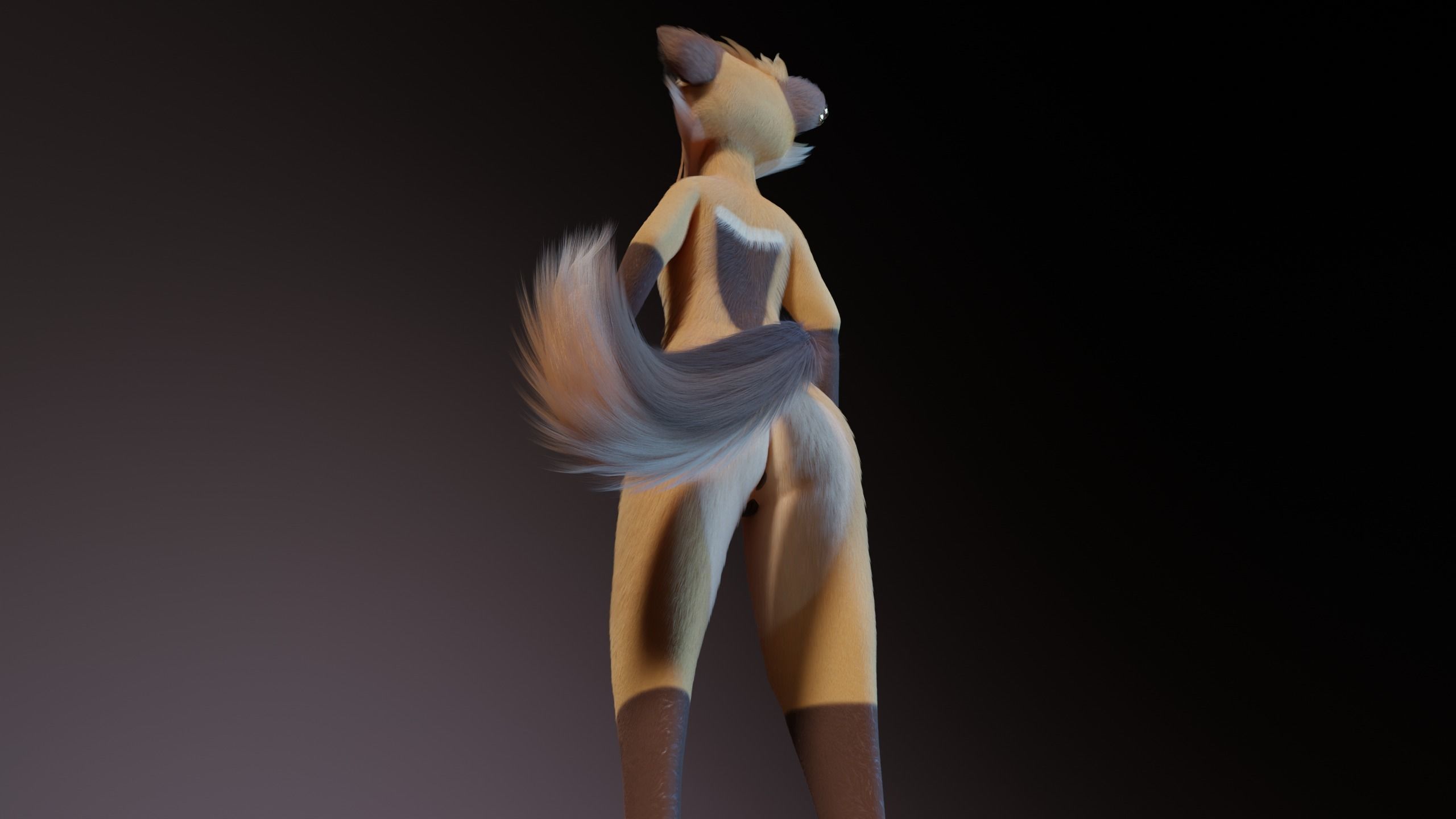 Catalina Anthro Fox 3D model_21