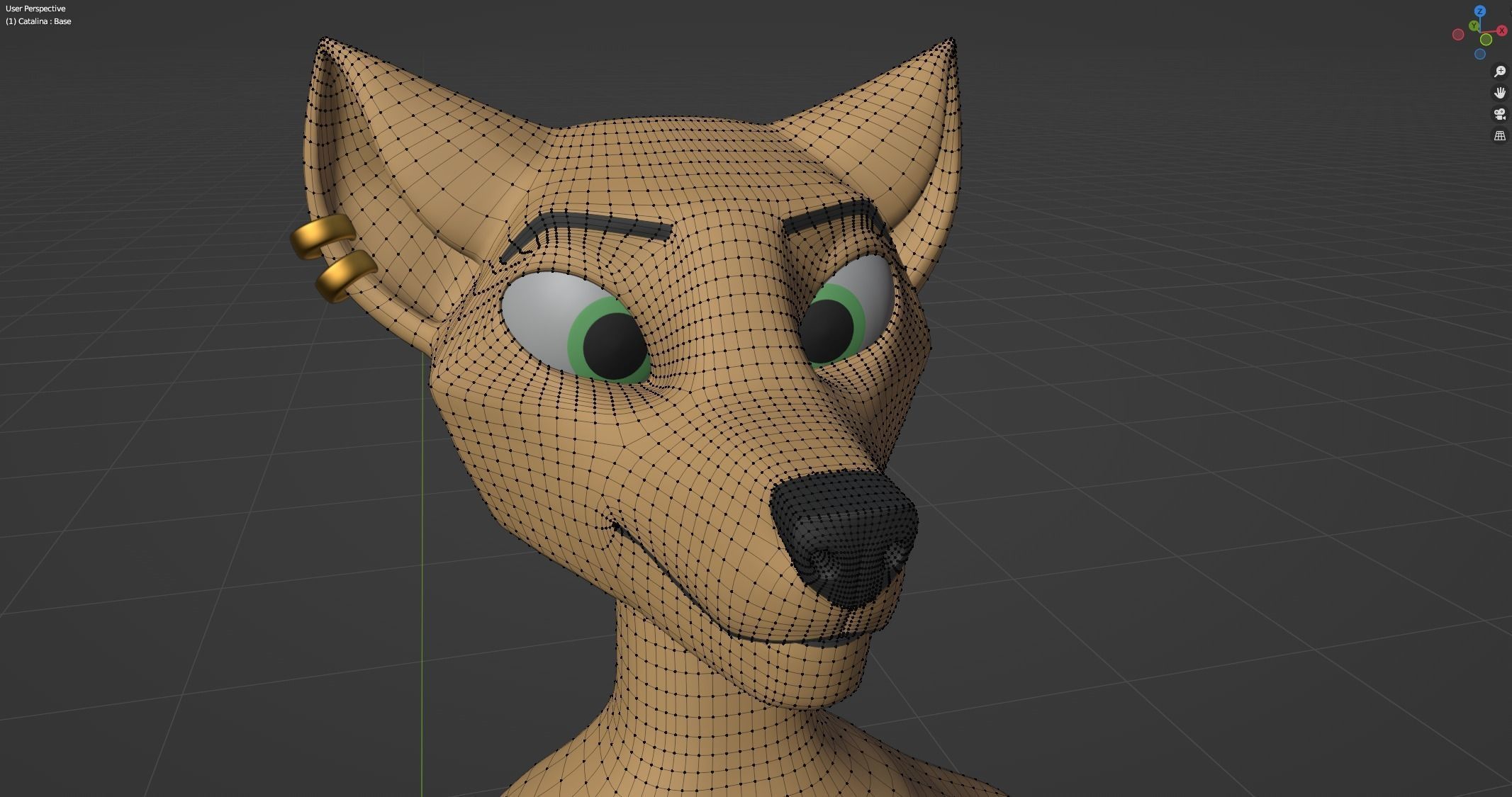 Catalina Anthro Fox 3D model_57