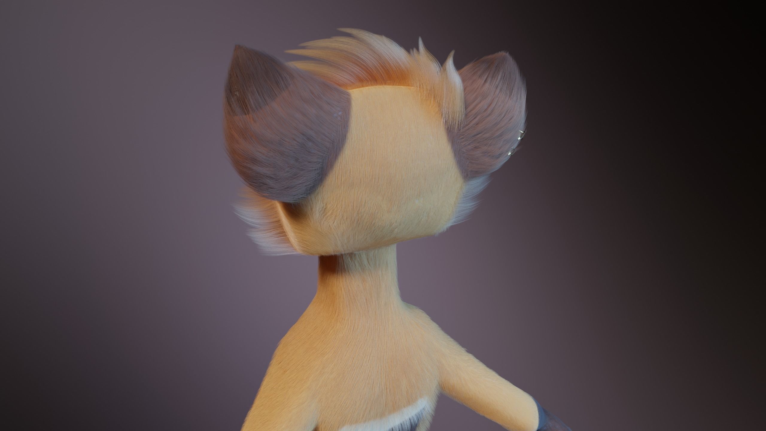 Catalina Anthro Fox 3D model_5