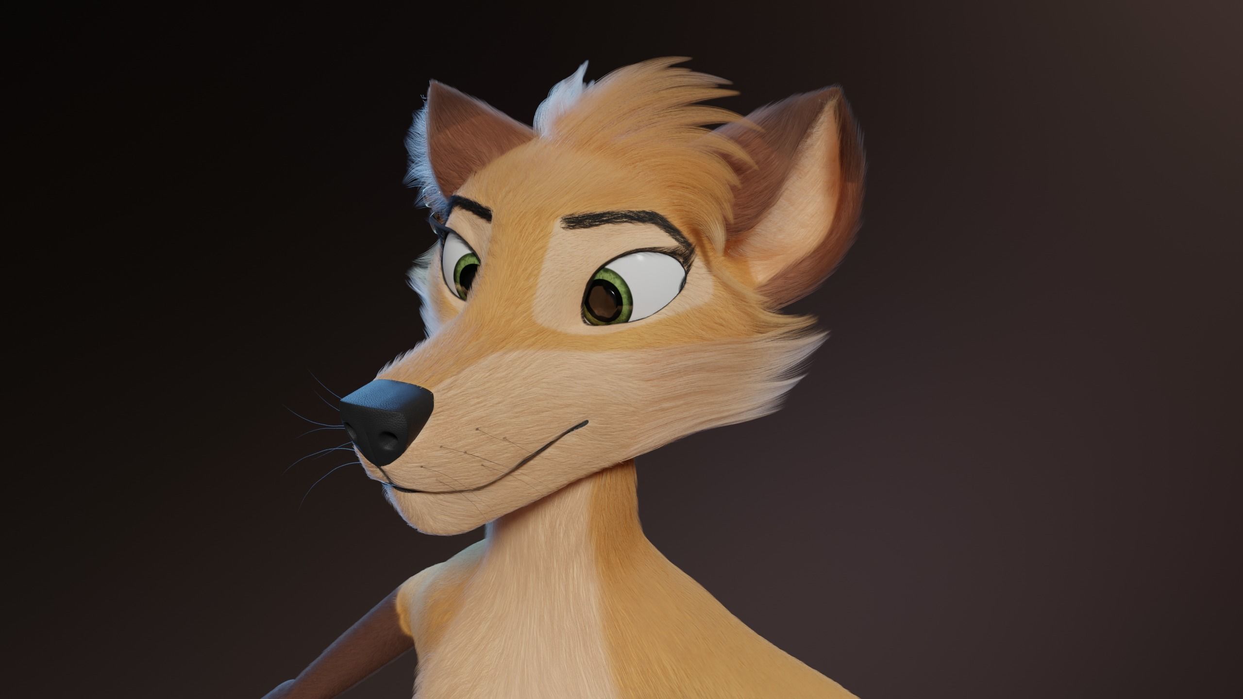 Catalina Anthro Fox 3D model_4