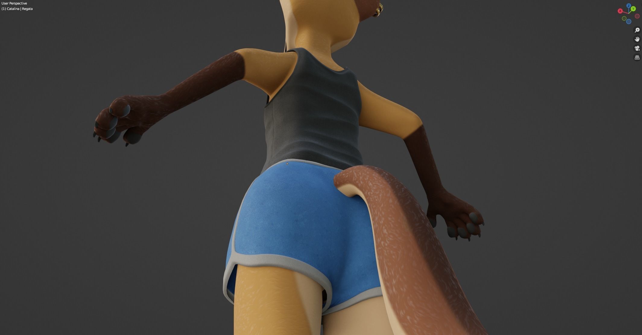 Catalina Anthro Fox 3D model_77