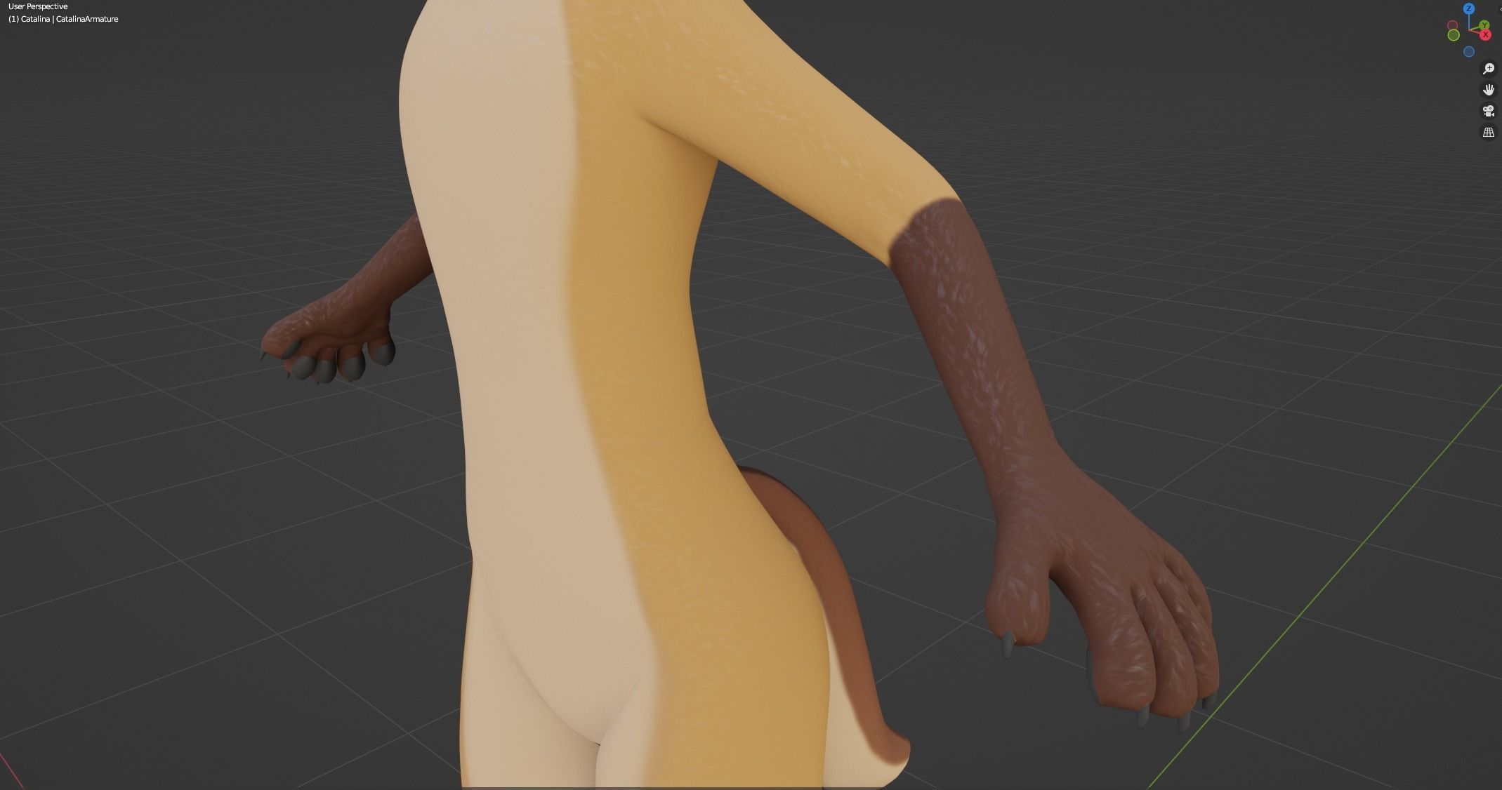 Catalina Anthro Fox 3D model_49