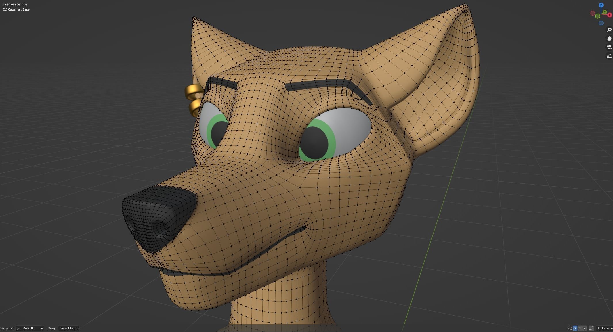 Catalina Anthro Fox 3D model_58
