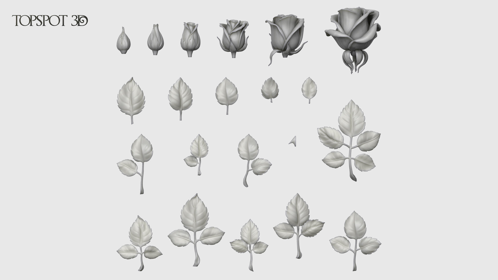 Rose Buds And Leaves Set 3D print model_7