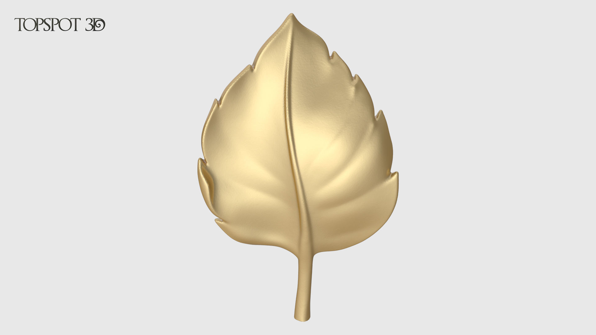 Rose Buds And Leaves Set 3D print model_18