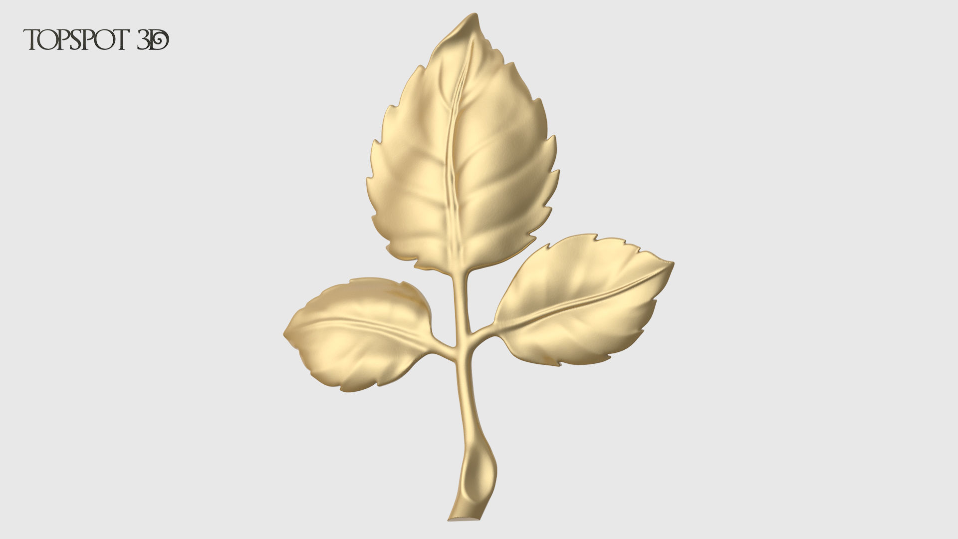 Rose Buds And Leaves Set 3D print model_27