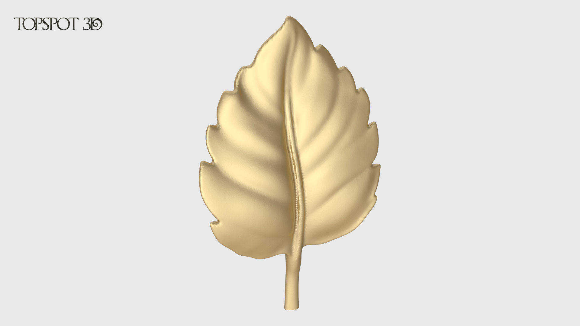Rose Buds And Leaves Set 3D print model_17