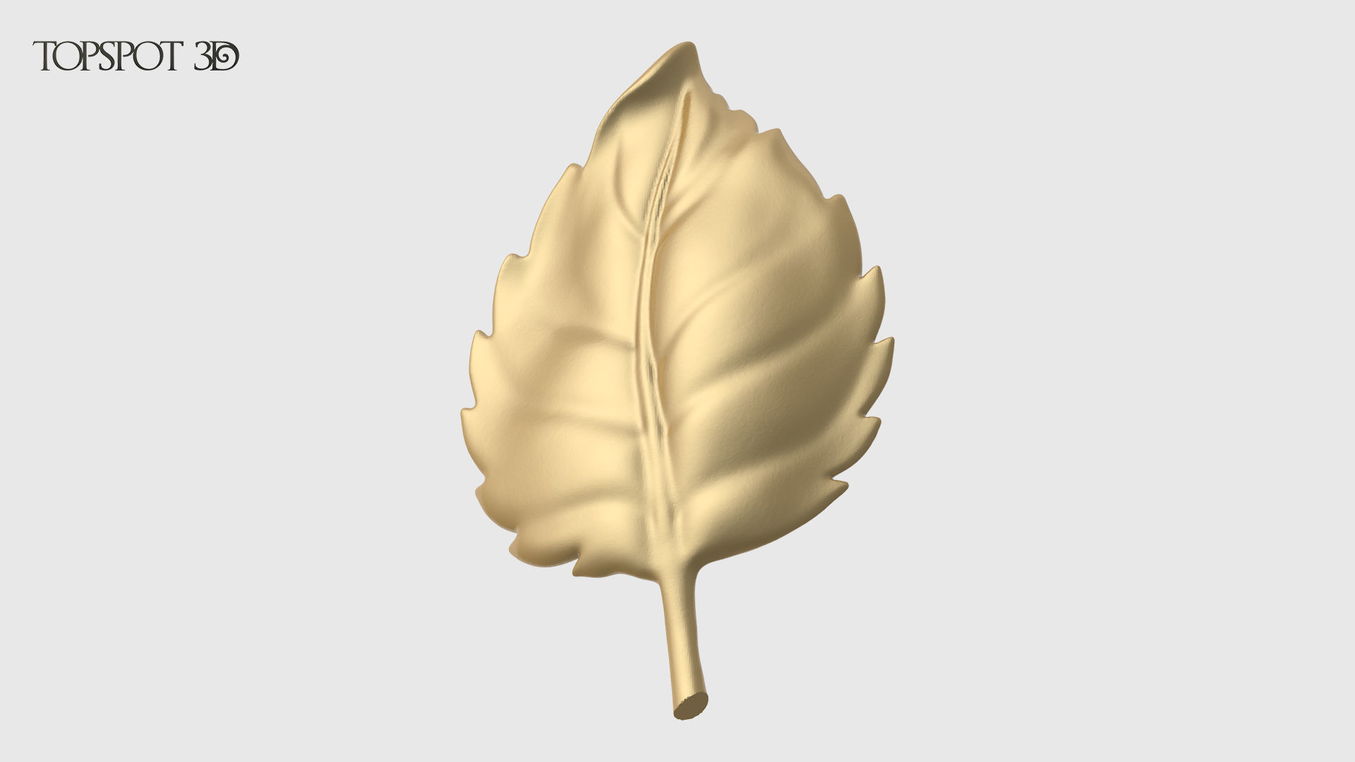 Rose Buds And Leaves Set 3D print model_16