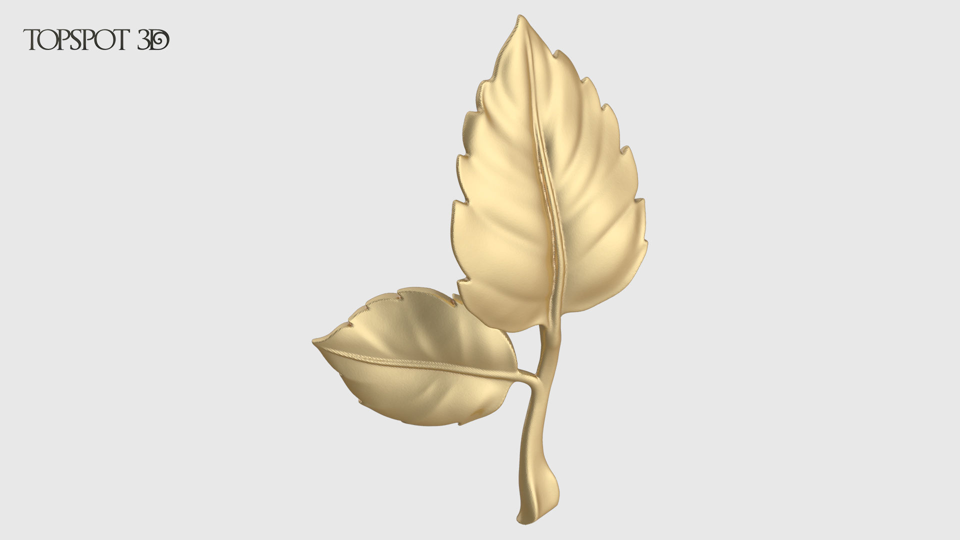 Rose Buds And Leaves Set 3D print model_23