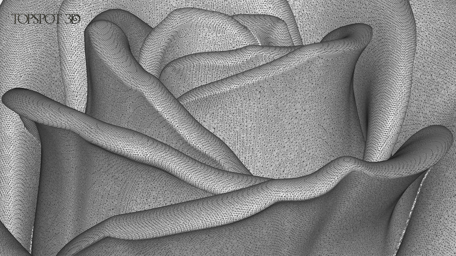 Rose Buds And Leaves Set 3D print model_33