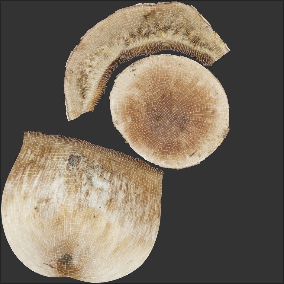 Boletus Edulis or Porcino Low-poly 3D model_6