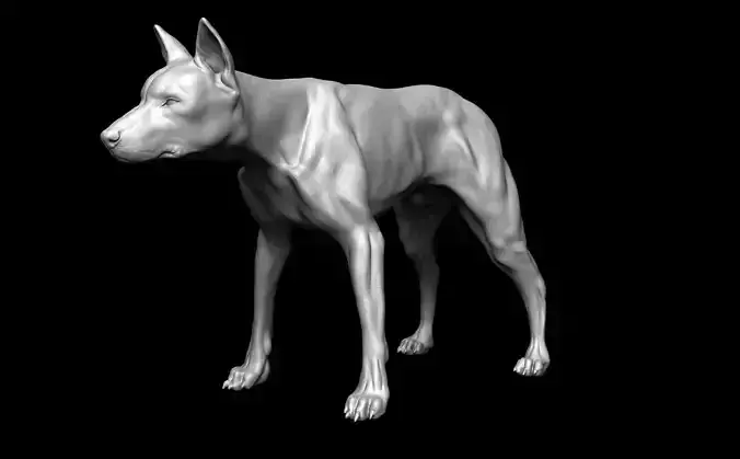 Dog Model