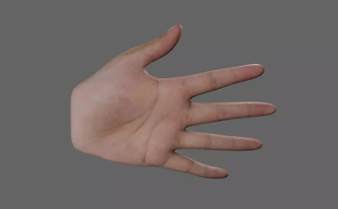 Rigged Hand - With Real texture - Mao Low-poly 3D model