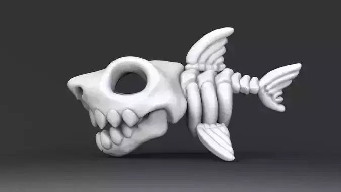 Cute Shark Skeleton