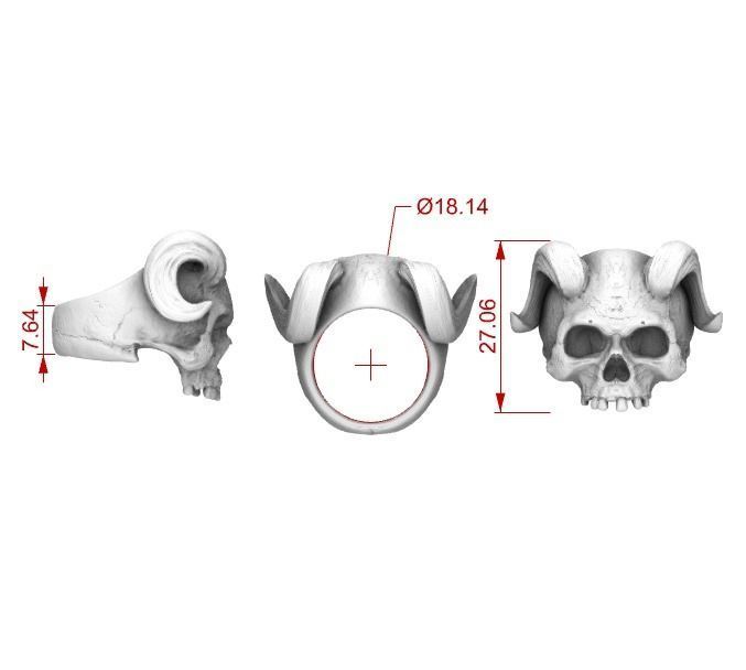 Alexander the Horned Skull Ring Stl 3D Model Silver Casting 3D  3D print model_7